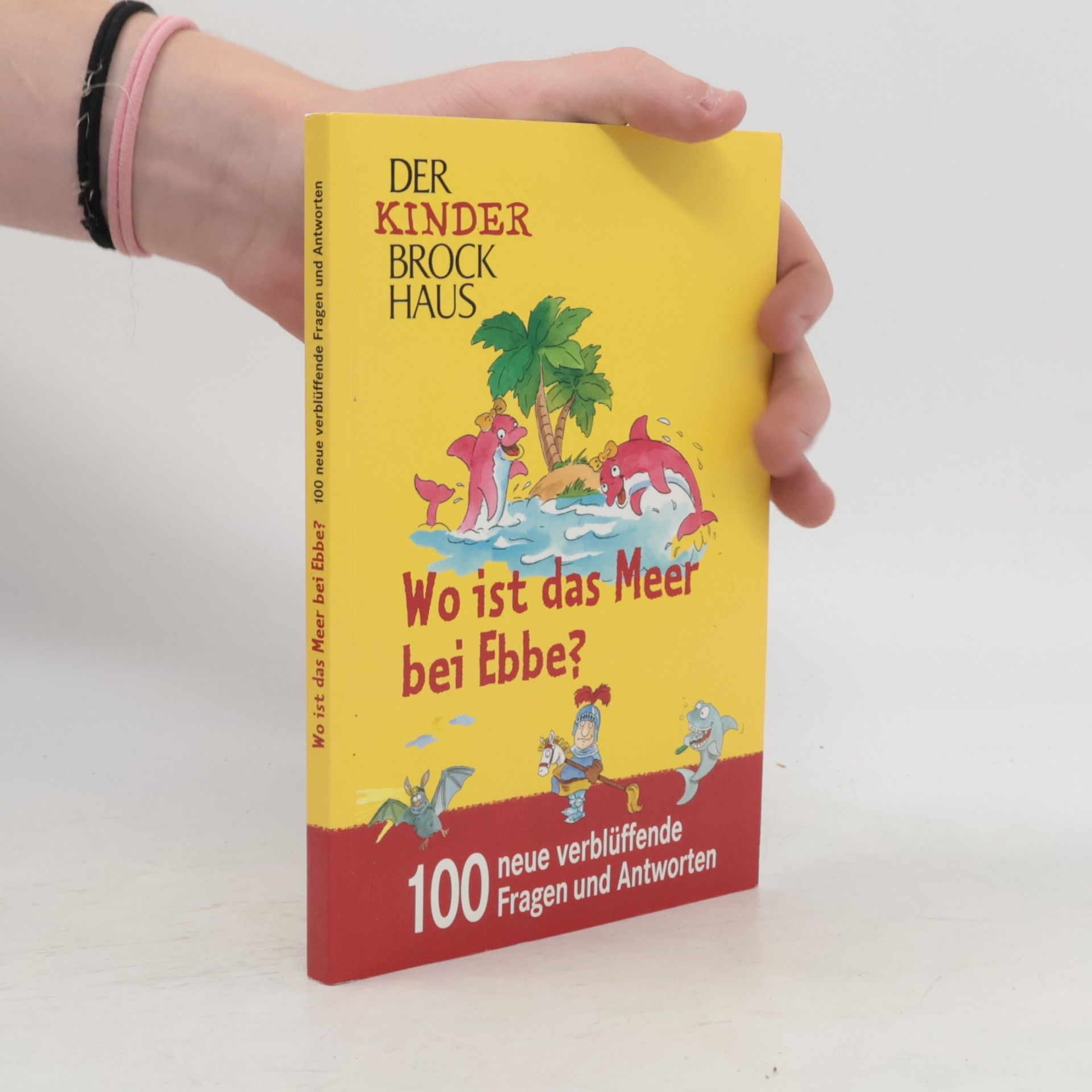 Autorenkollektiv Wo ist das Meer bei Ebbe?
