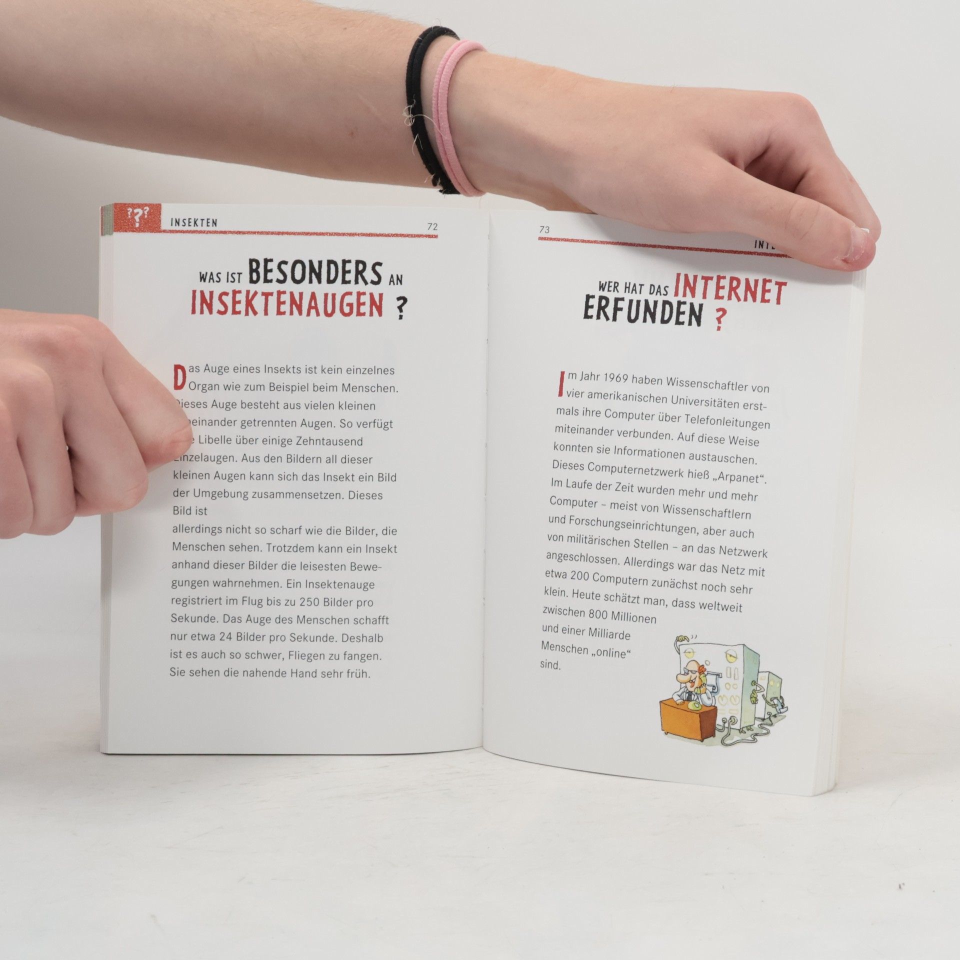 Autorenkollektiv Wo ist das Meer bei Ebbe?