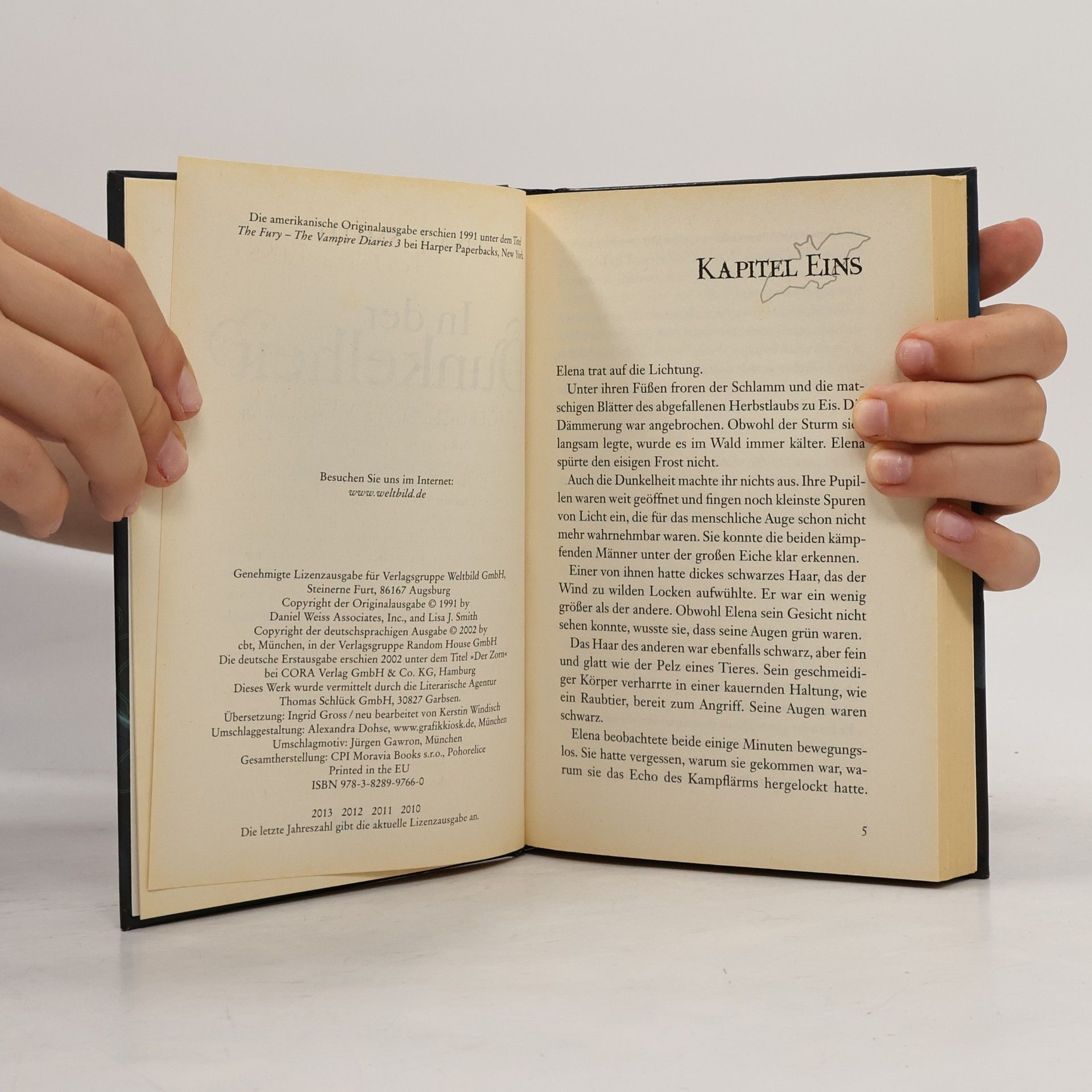 L. J. Smithová  Tagebuch eines Vampirs 3. In der Dunkelheit