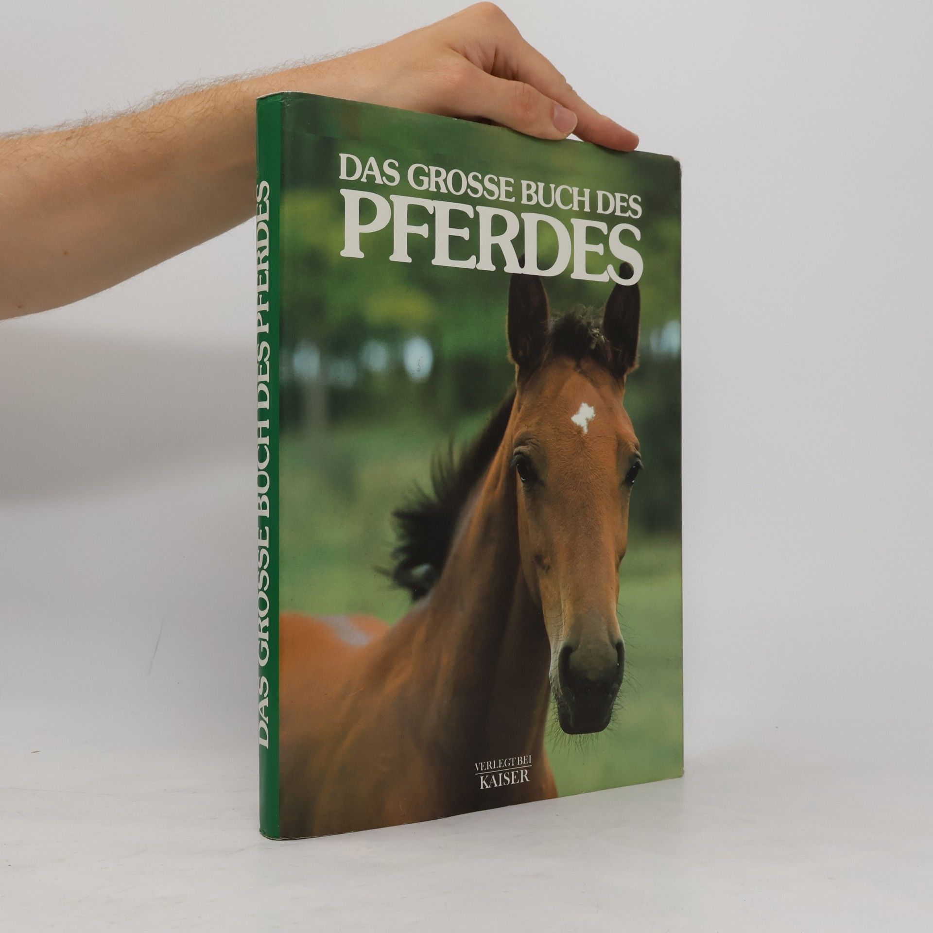 Luciano De Maria Das grosse Buch des Pferdes