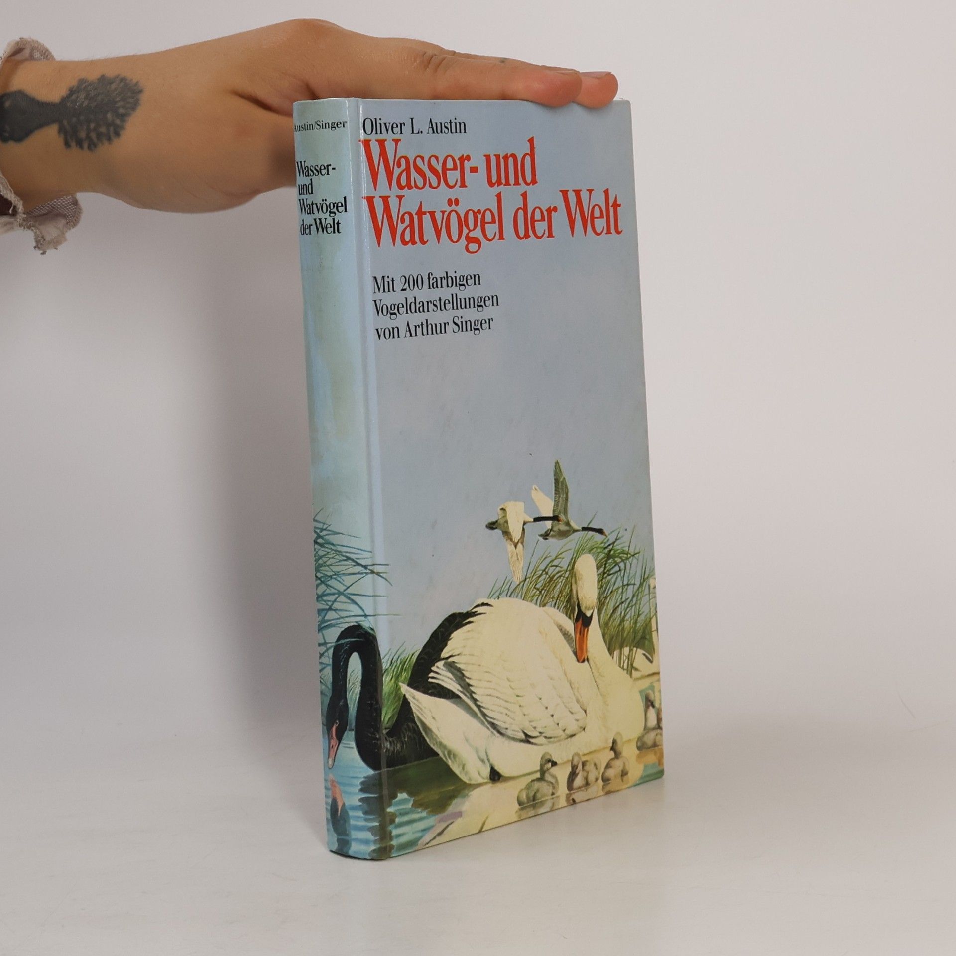 Oliver Luther Austin Knaurs Wasser- und Watvögel der Welt