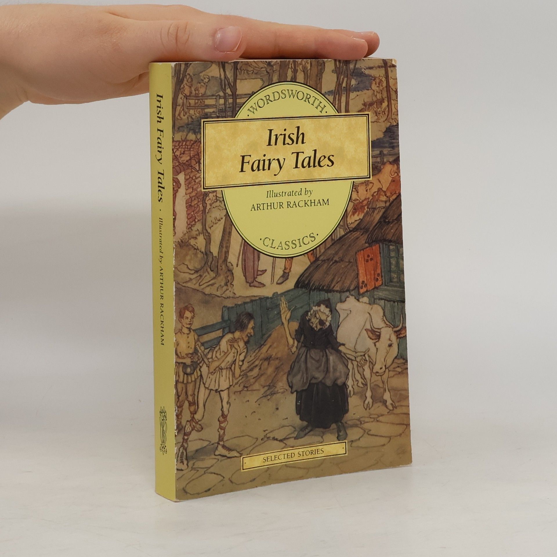 Irish Fairy Tales