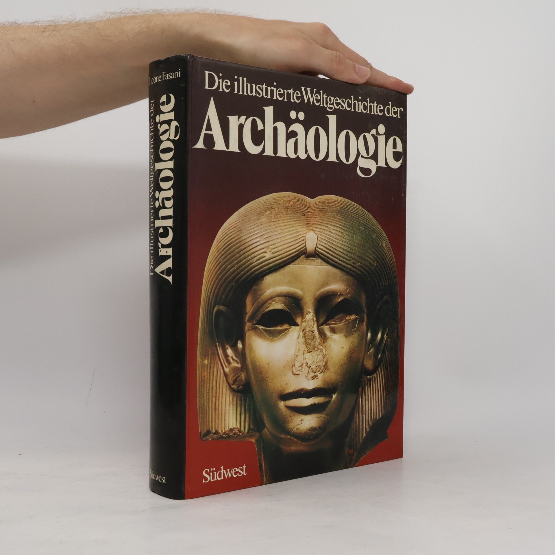 Leone Fasani Die illustrierte Weltgeschichte der Archäologie