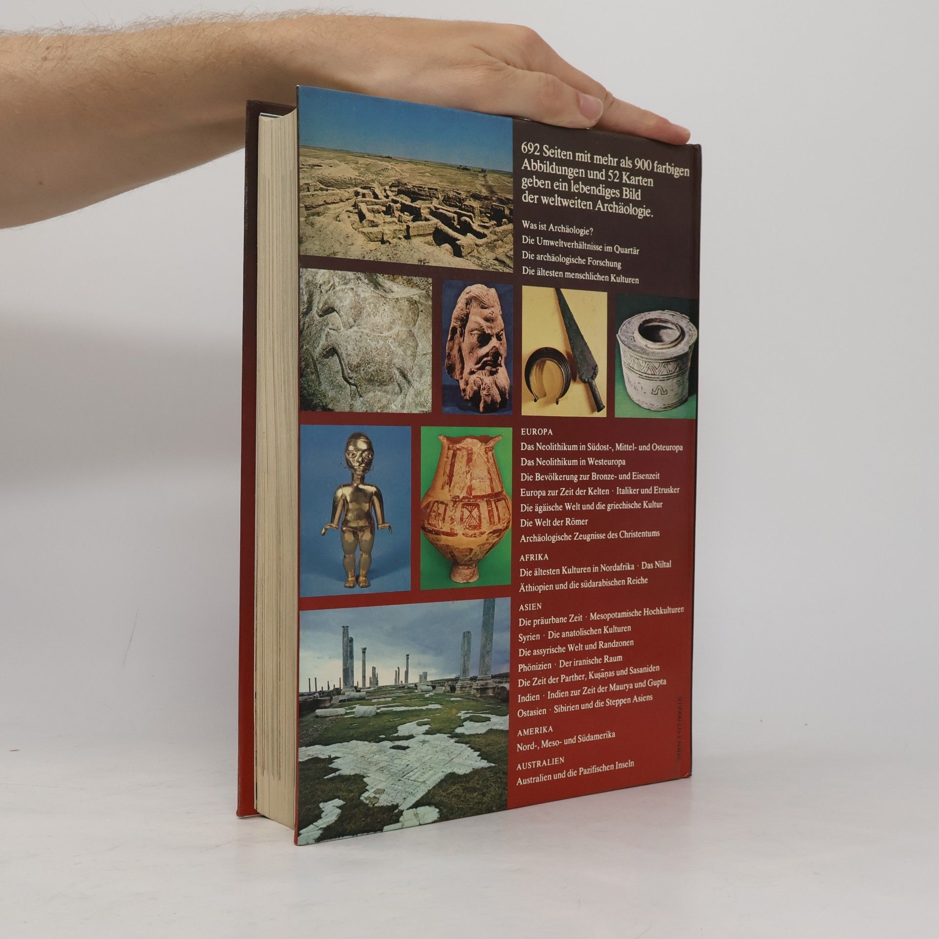 Leone Fasani Die illustrierte Weltgeschichte der Archäologie