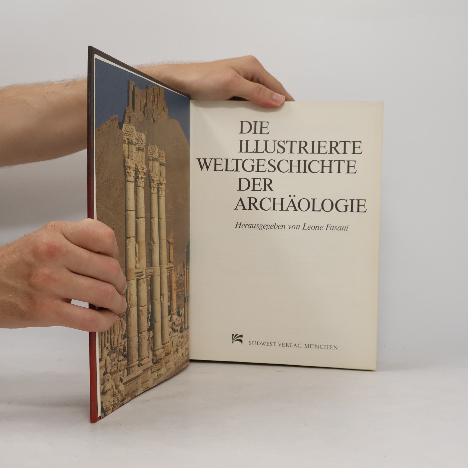 Leone Fasani Die illustrierte Weltgeschichte der Archäologie