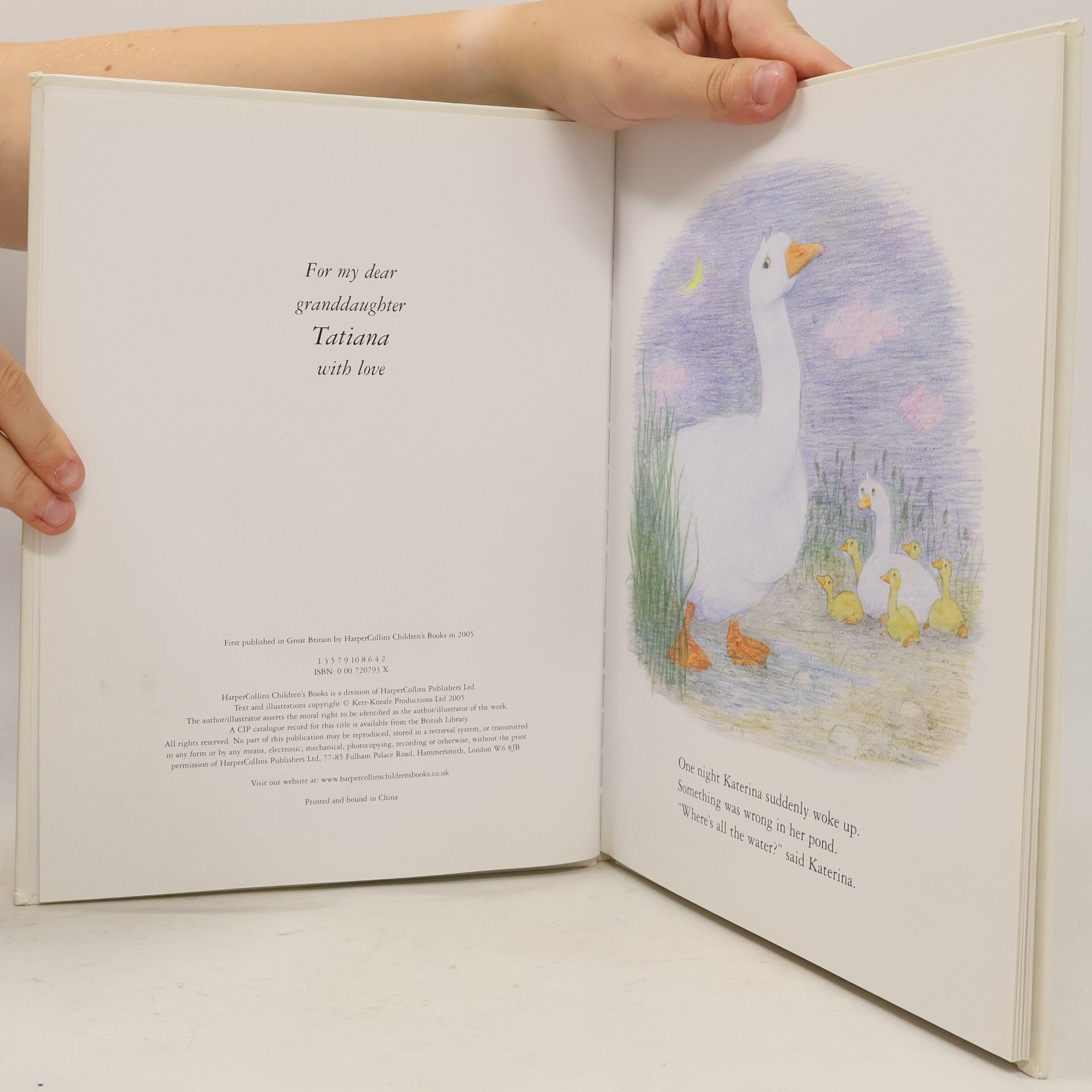 Judith Kerr Goose in a Hole