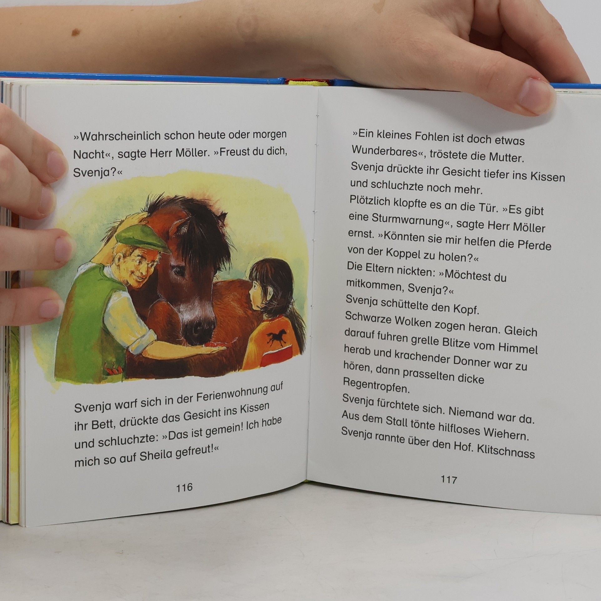 Die schönsten Pony- und Pferdegeschichten