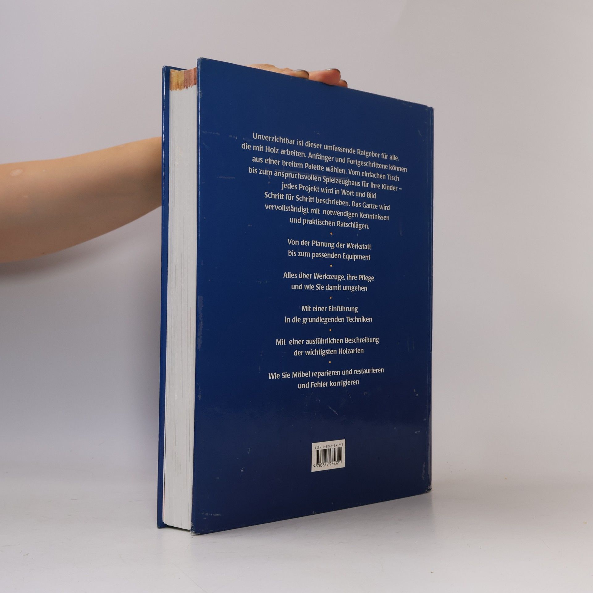 Mark Ramuz Handbuch Holz