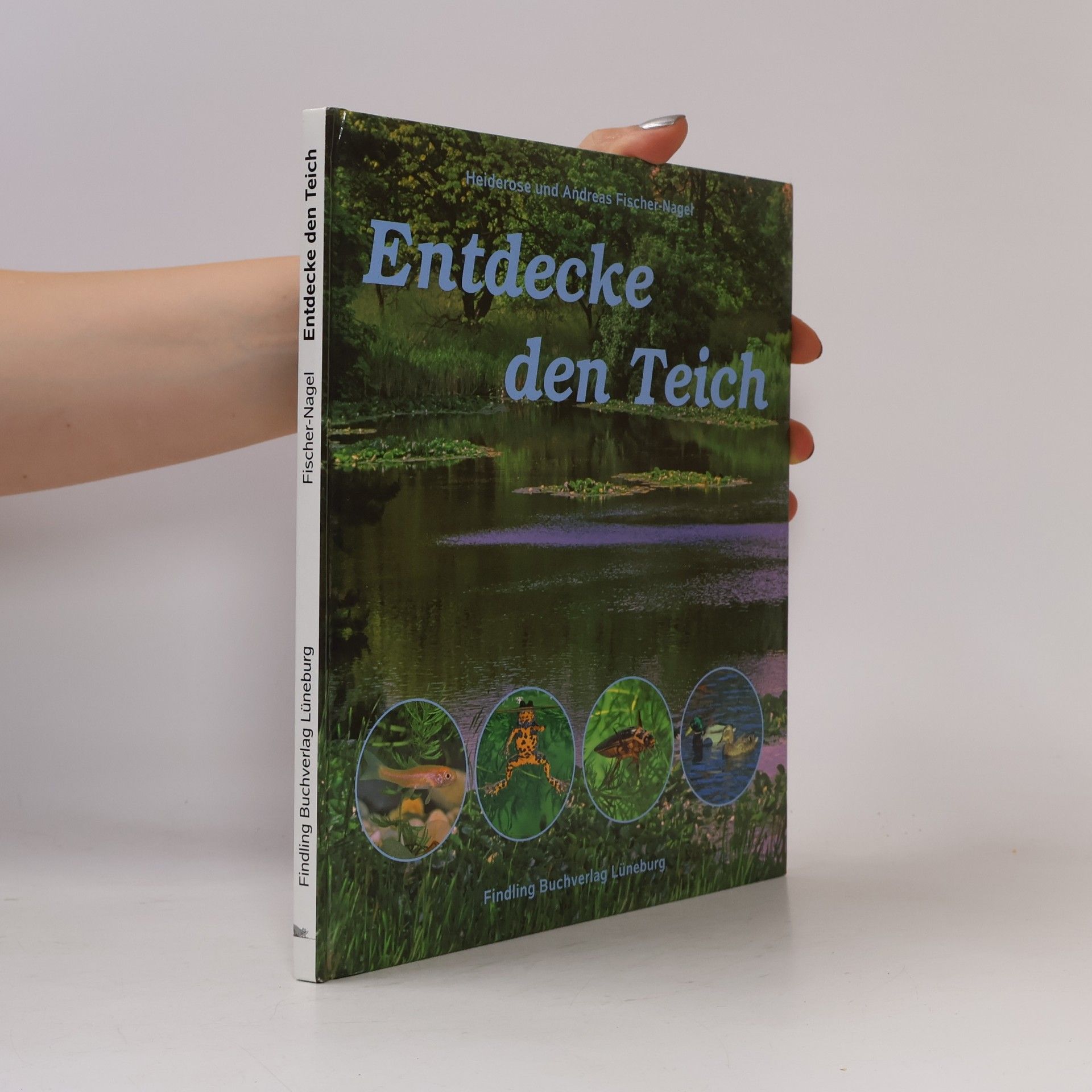 Entdecke den Teich