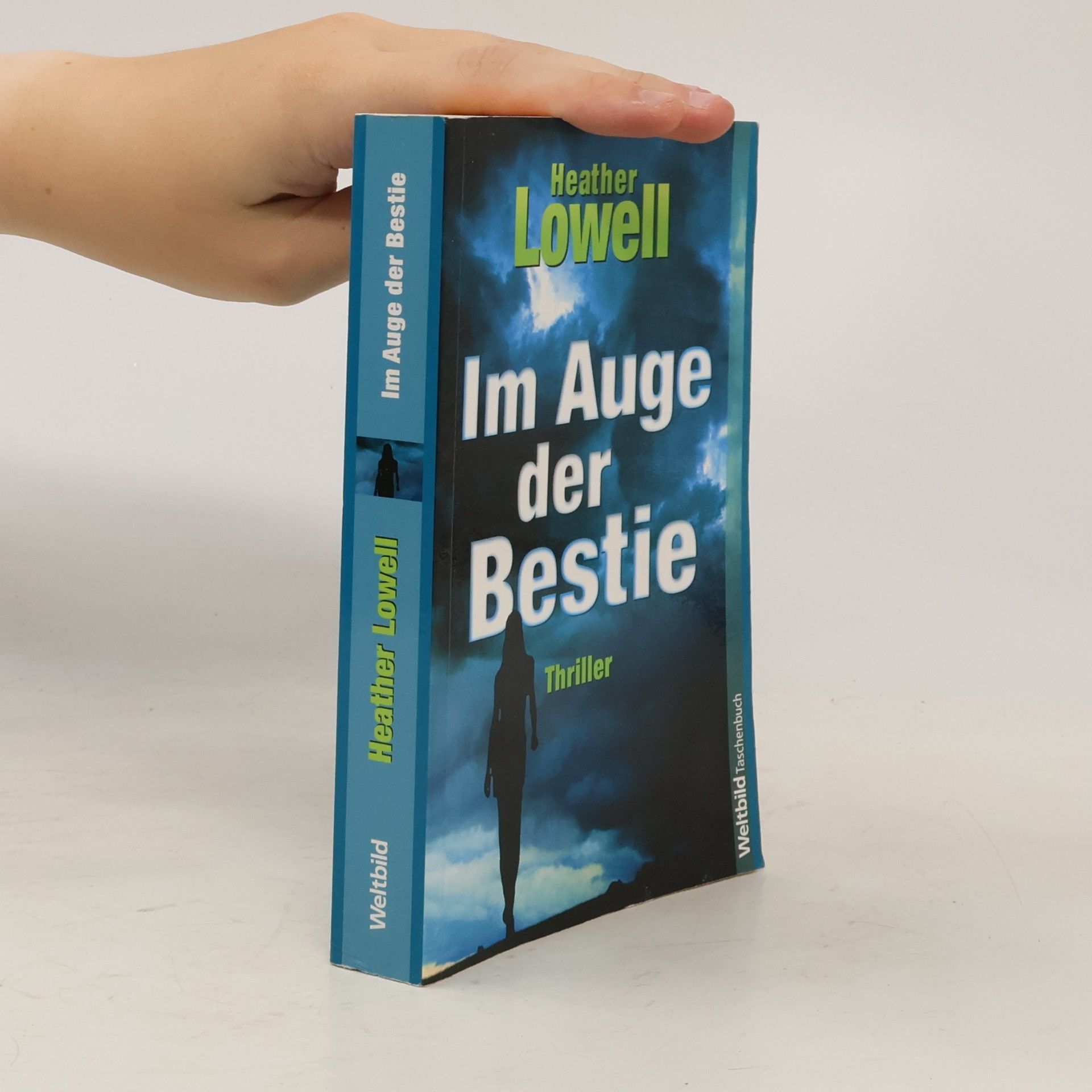 Heather Lowell Im Auge der Bestie