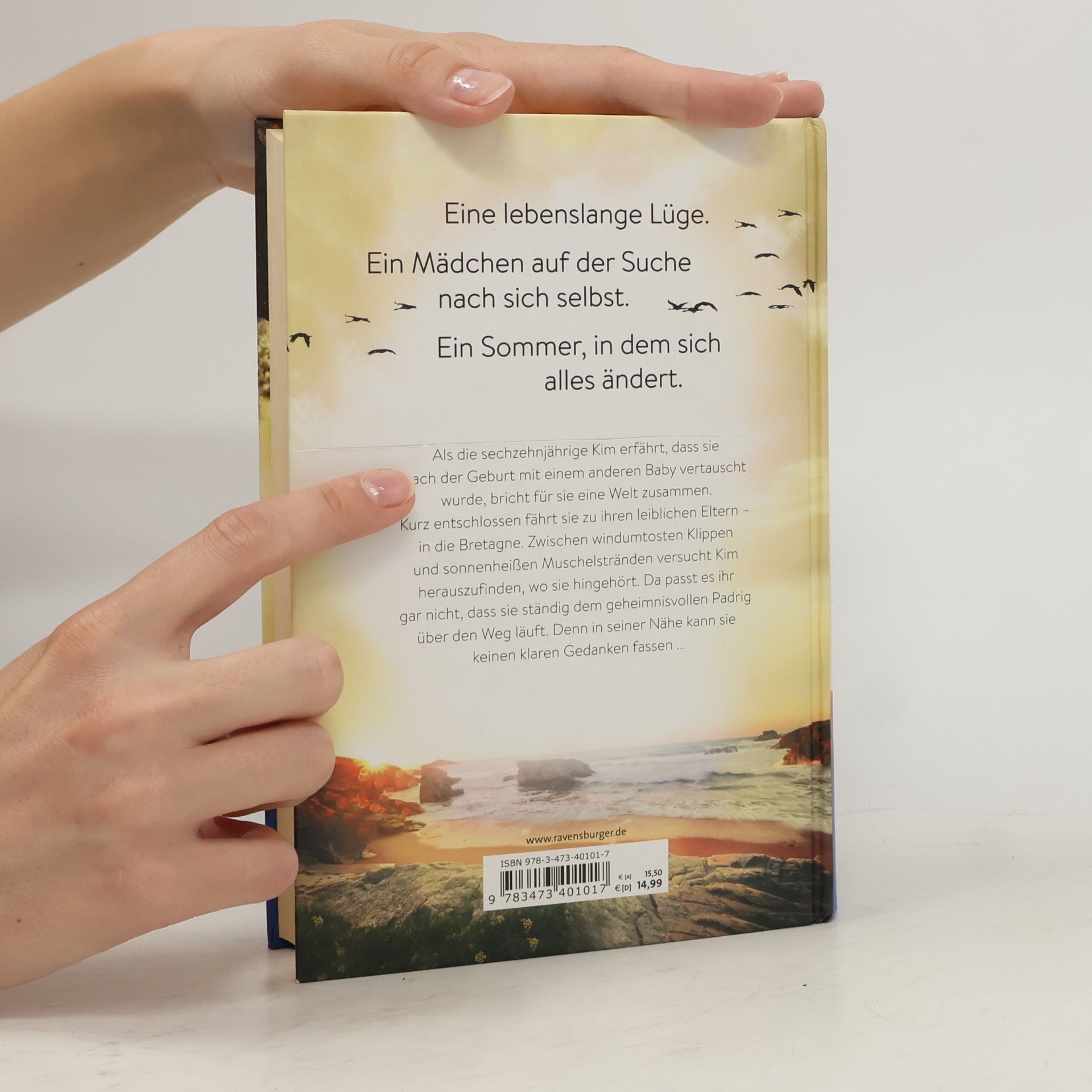 Julie Leuze Herzmuschelsommer