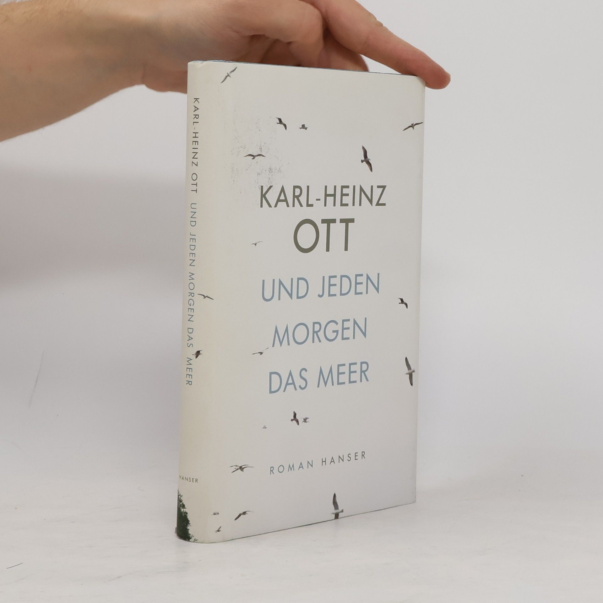 Karl Heinz Ott Und jeden Morgen das Meer