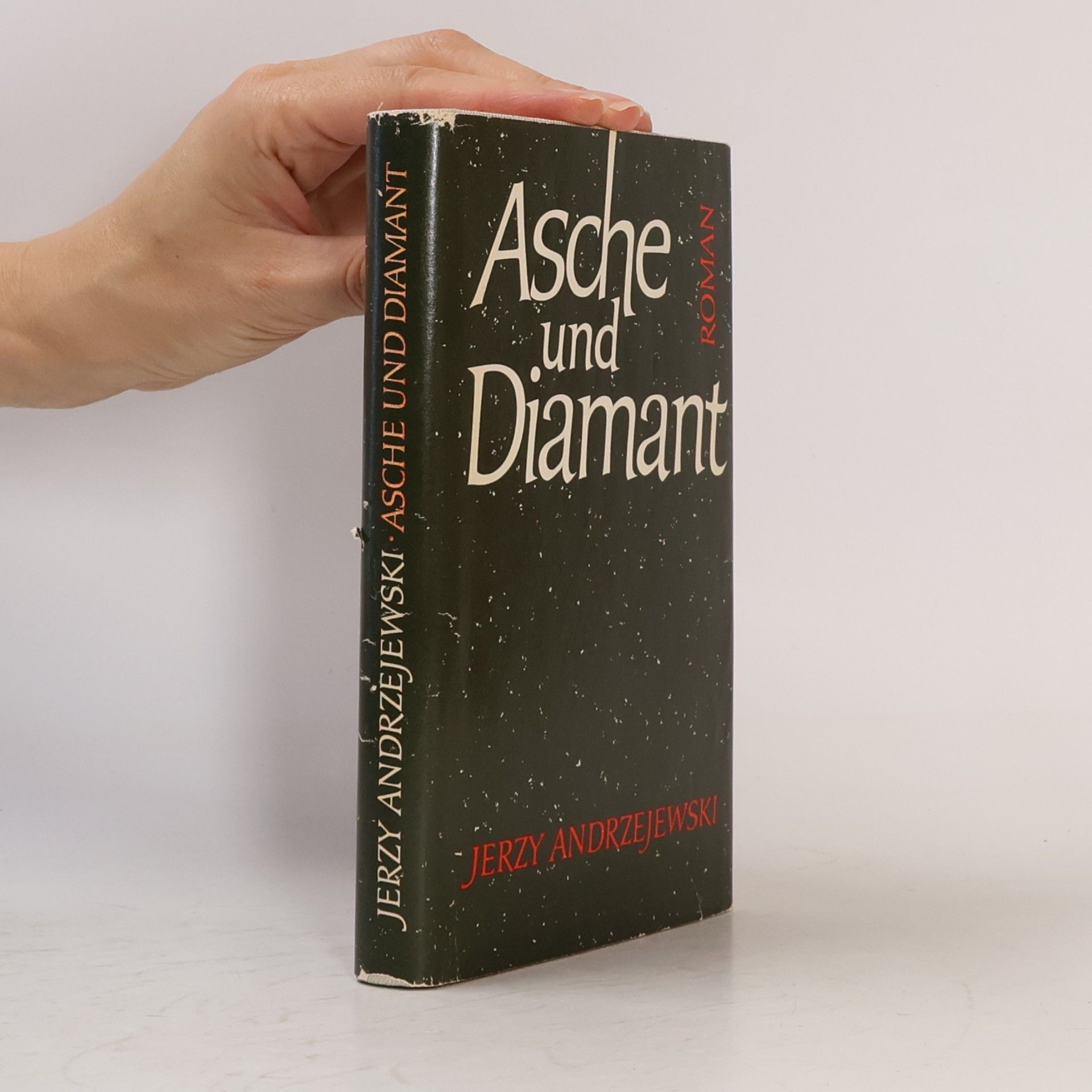 Jerzy Andrzejewski Asche und Diamant