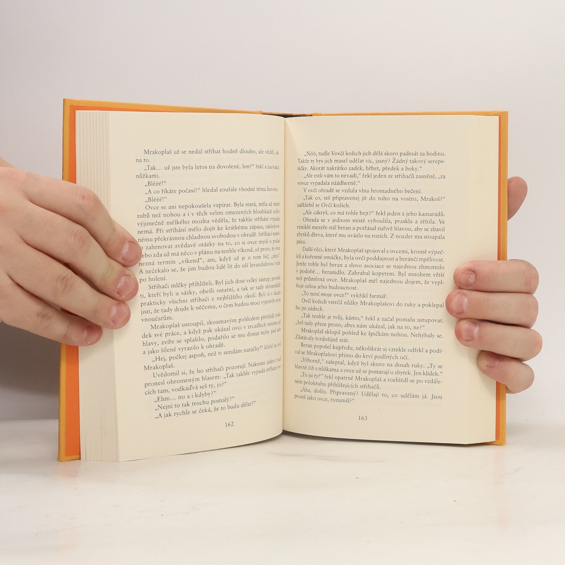 Terry Pratchett Poslední kontinent