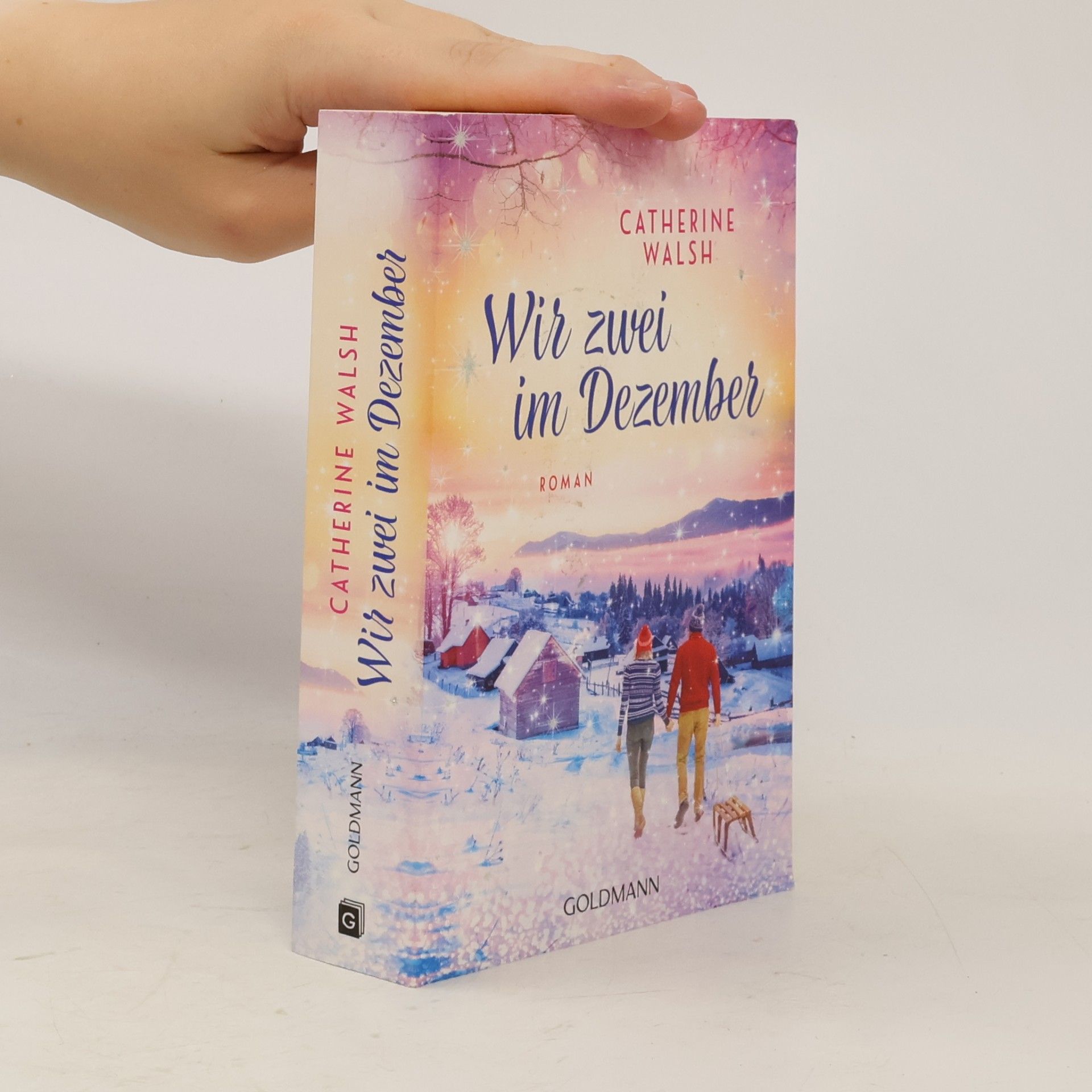 Catherine Walsh Wir zwei im Dezember. Roman