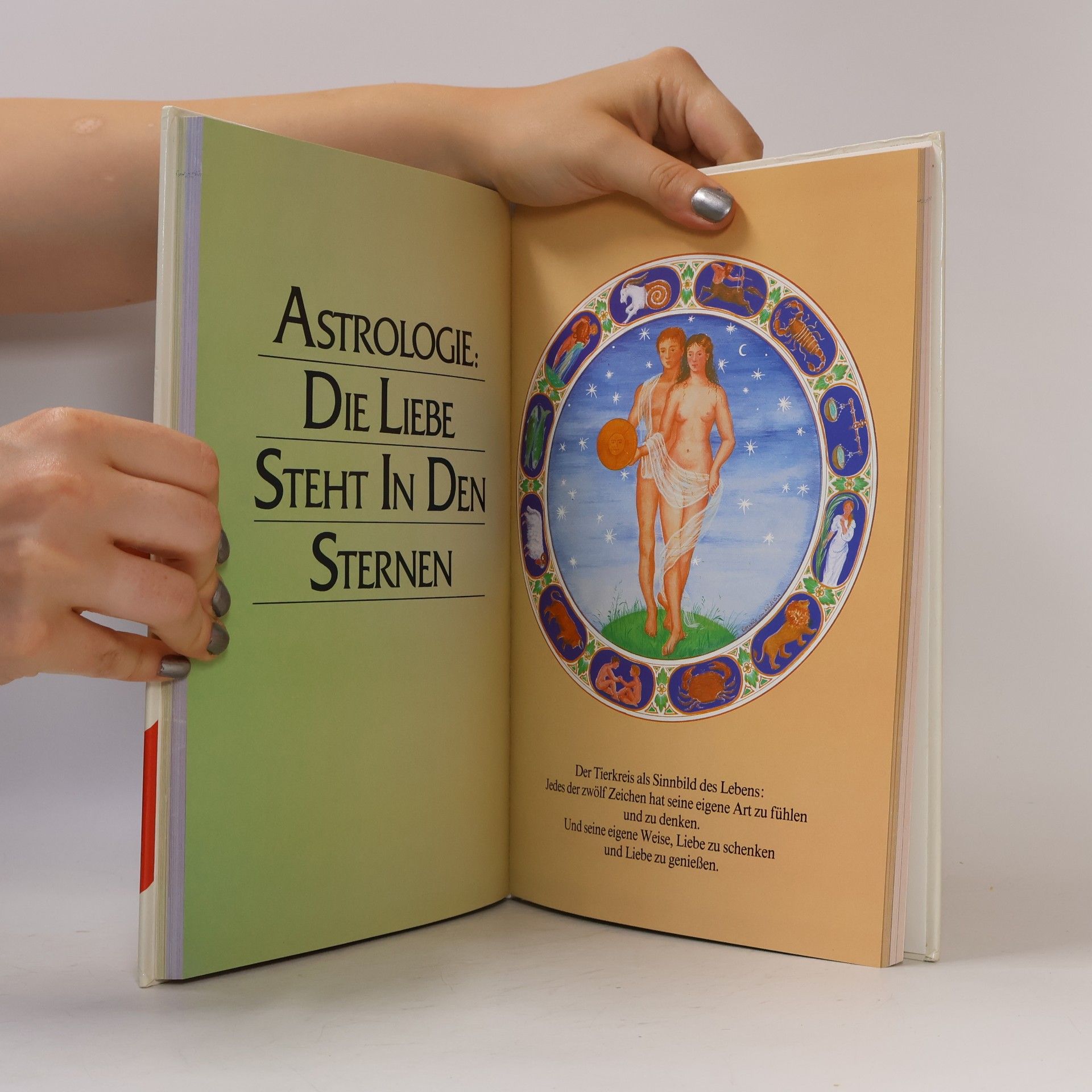 Sabine Schwabenthan Das Grosse Buch der Liebe
