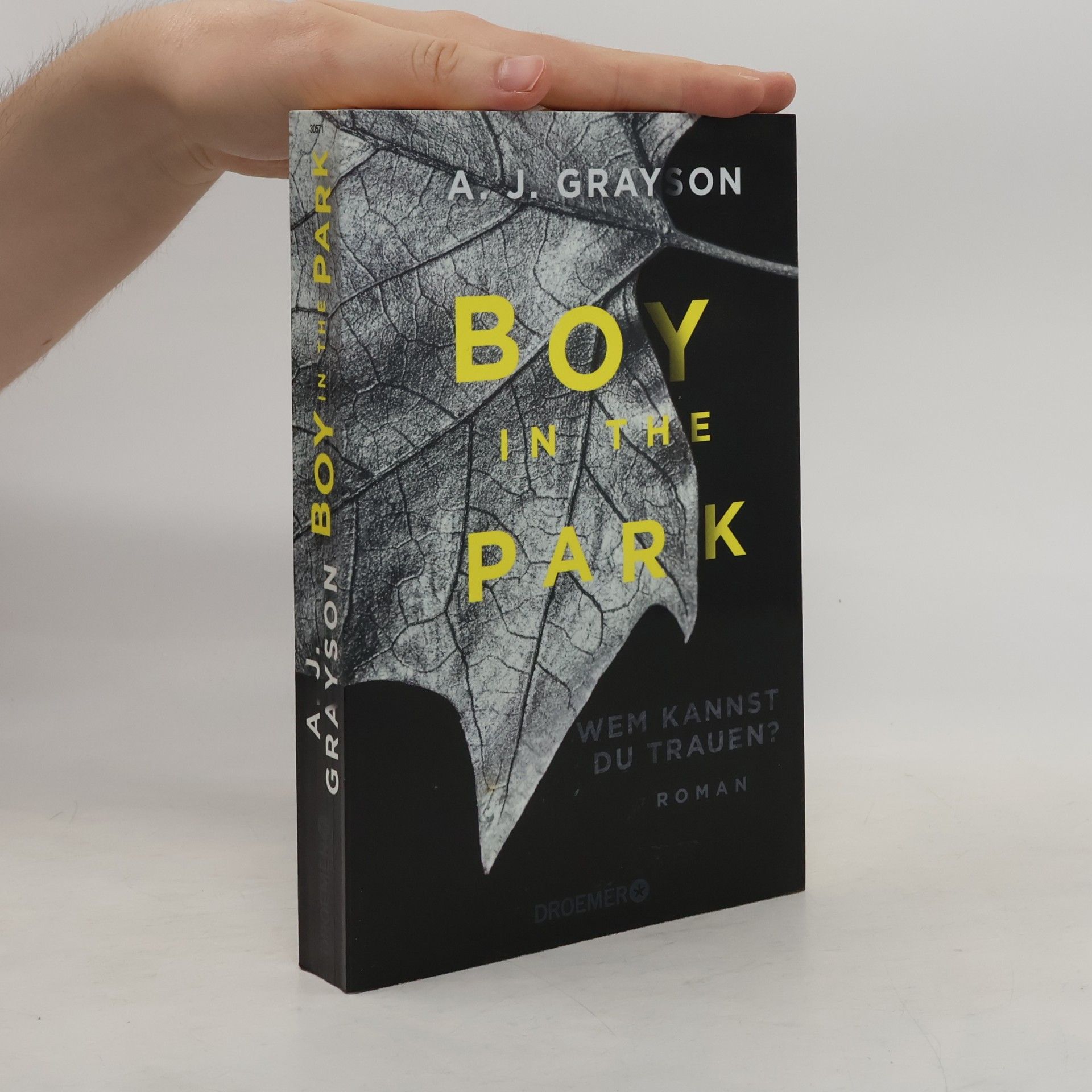 A. J. Grayson Boy in the park