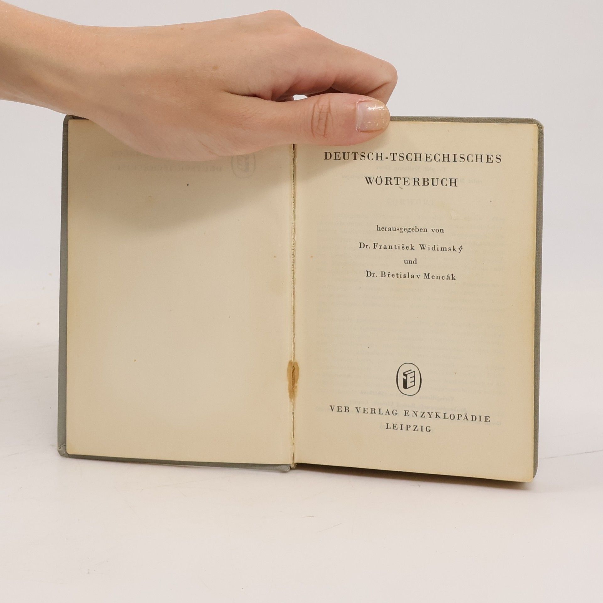 Kolektiv autorů Taschen-Wörterbuch Deutsch-Tschechisch