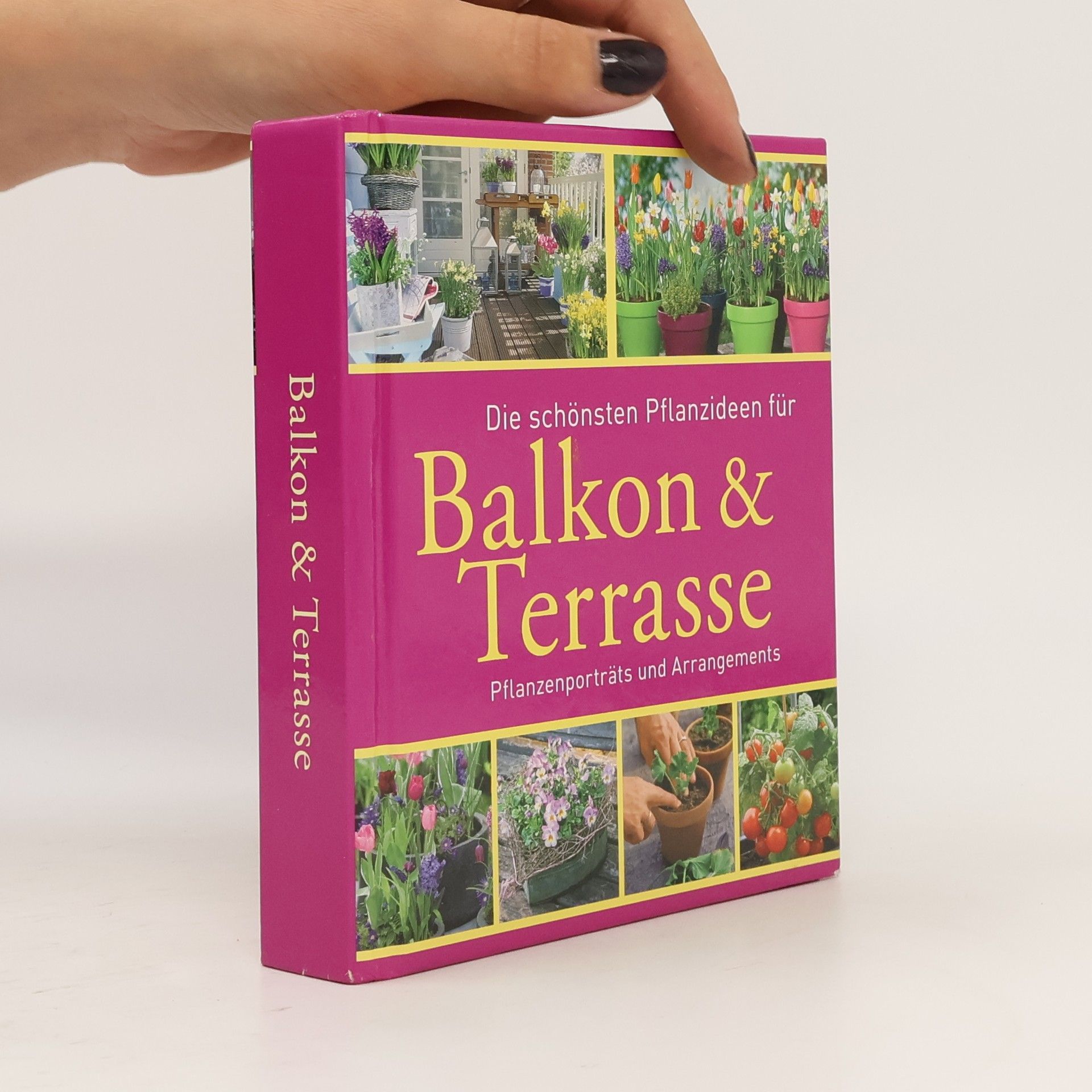 Bross-Burkhardt Brunhilde Und Christine Weidenweber Die schönsten Pflanzideen für Balkon & Terrasse Pflanzenporträts und Arrangements