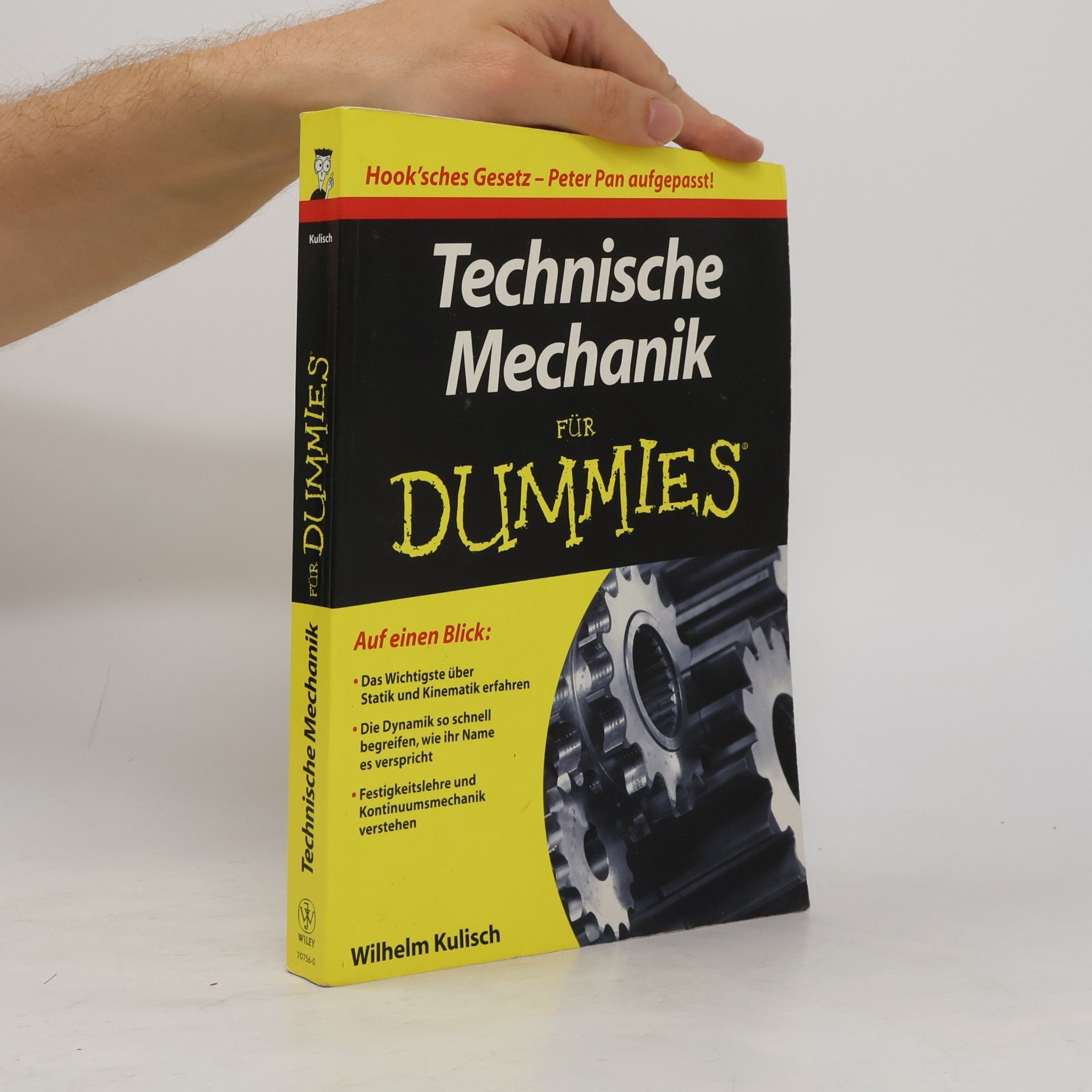Wilhelm Kulisch Technische Mechanik FÜR DUMMIES