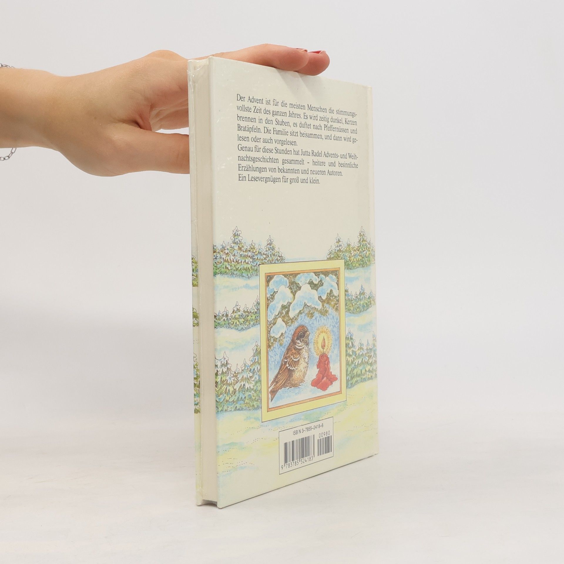 Various authors Adventsgeschichten zum Vorlesen