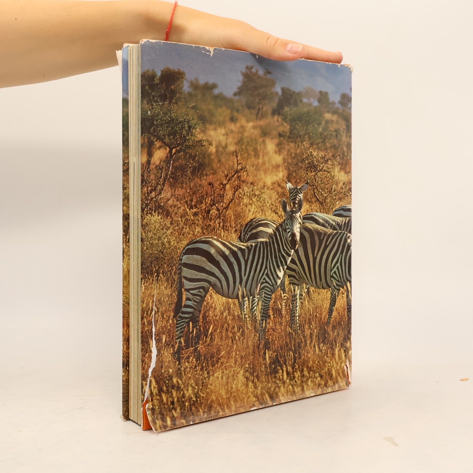 Gunter Steinbach Wunderwelt der Tiere. Geheimnis und Abenteuer