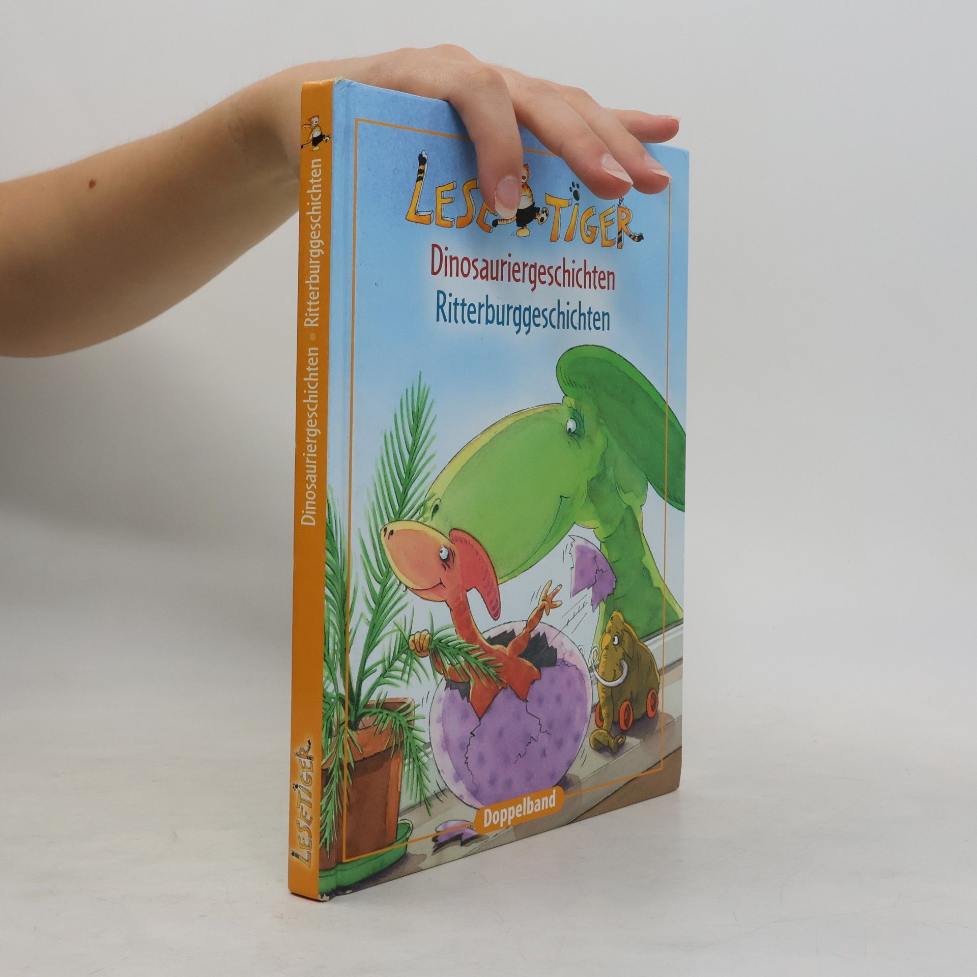 Autorenkollektiv Dinosauriergeschichten. Ritterburggeschichten