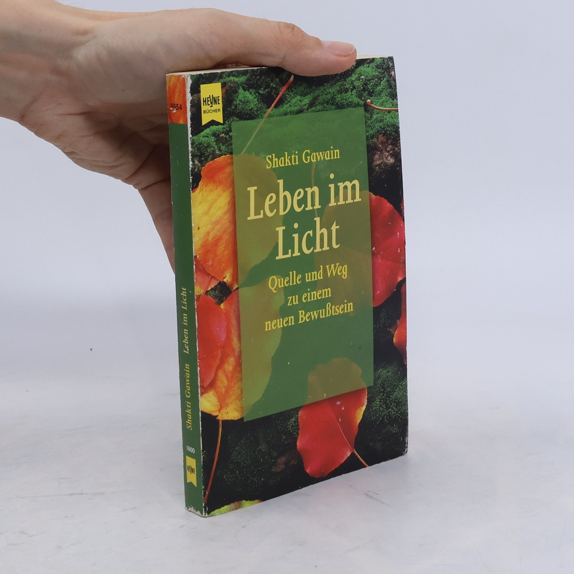 Shakti Gawain Leben im Licht