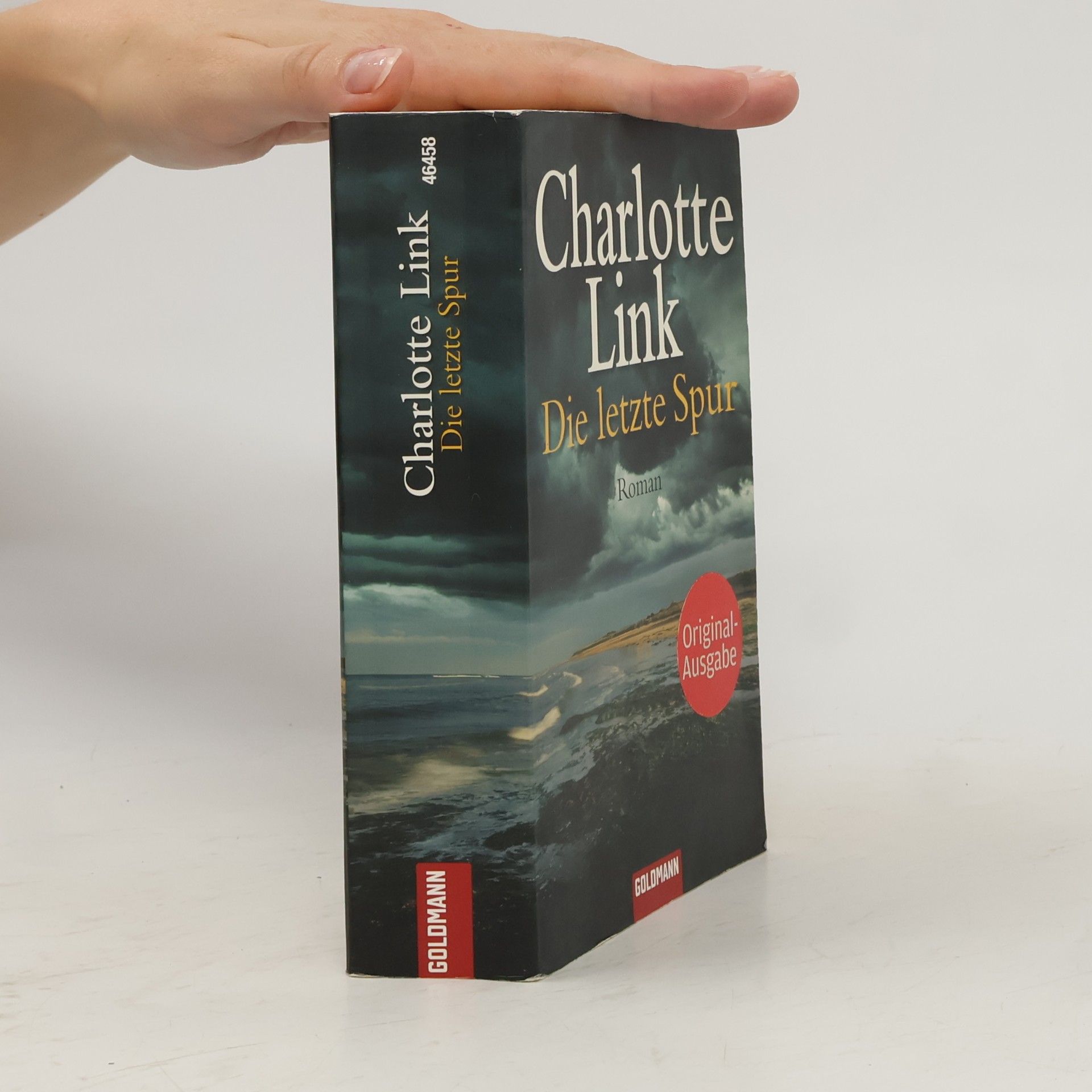 Charlotte Link Die letzte Spur