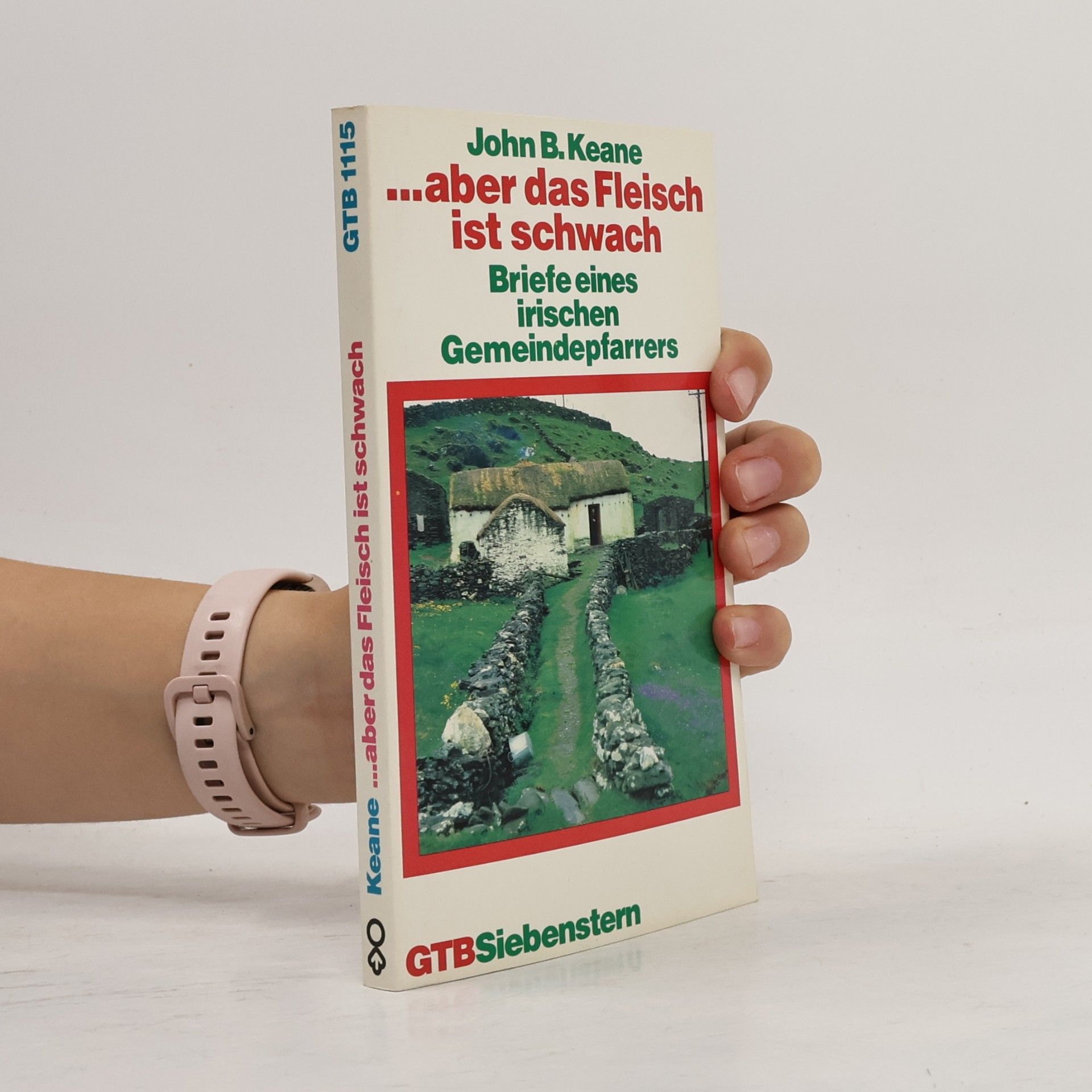 Aber das Fleisch ist schwach. Briefe eines irische