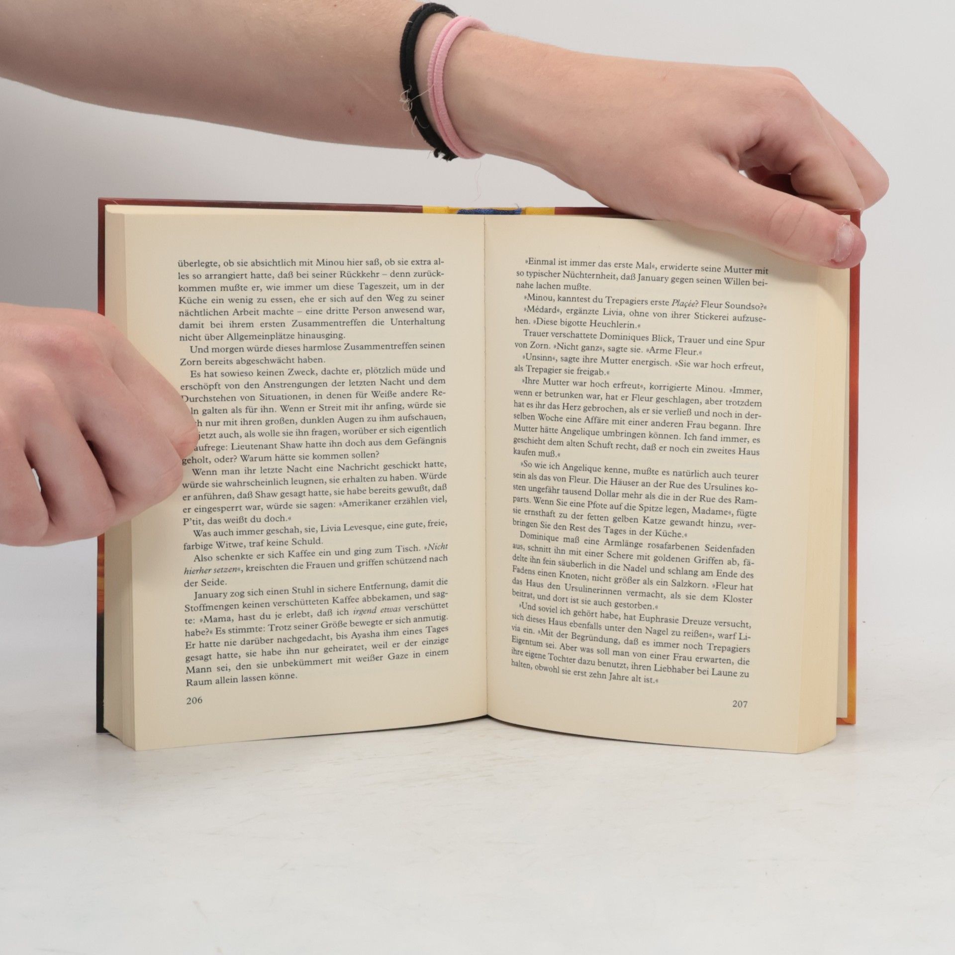 Barbara Hambly Die Farben der Freiheit