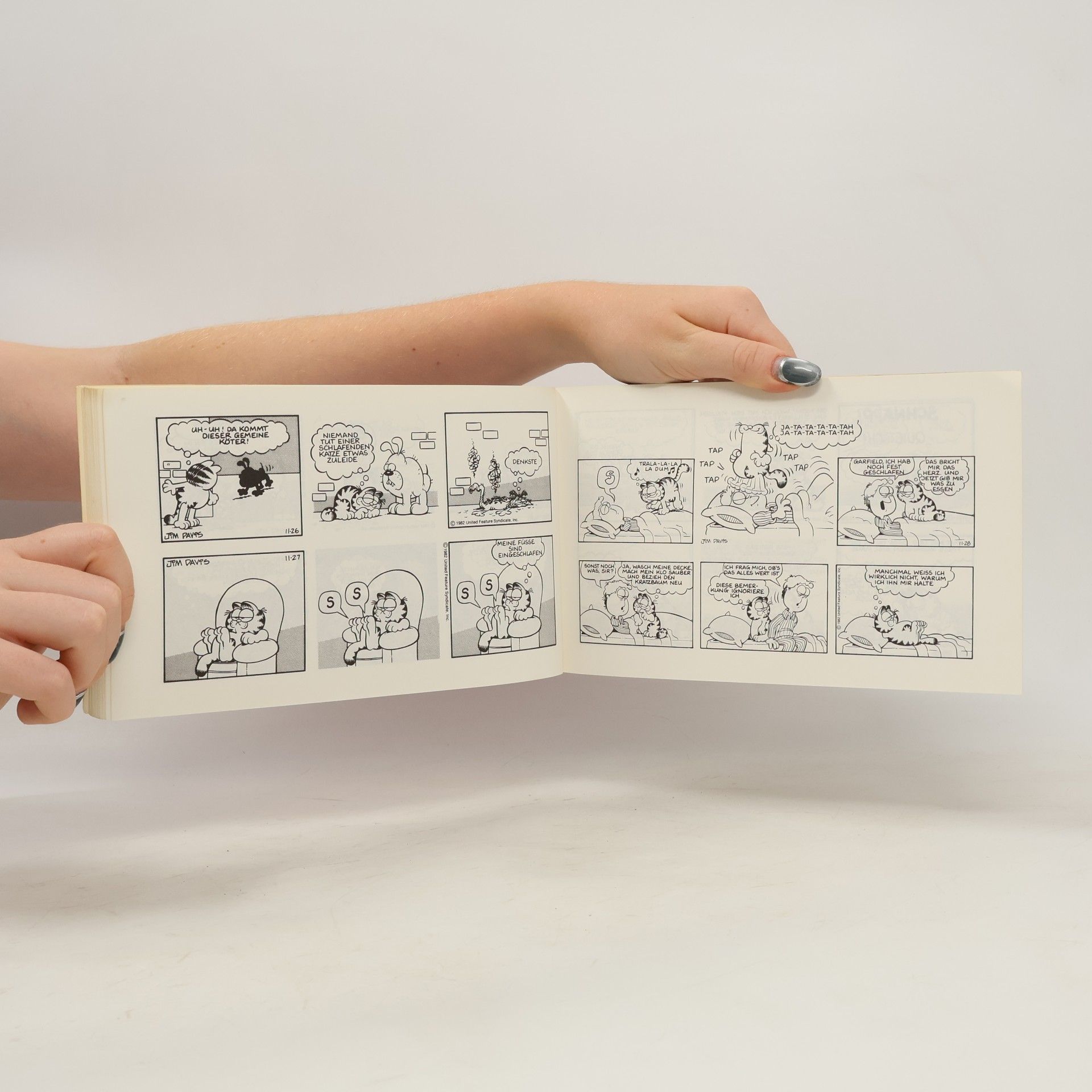 Jim Davis Garfield hat's voll drauf. Sein achtes Buch