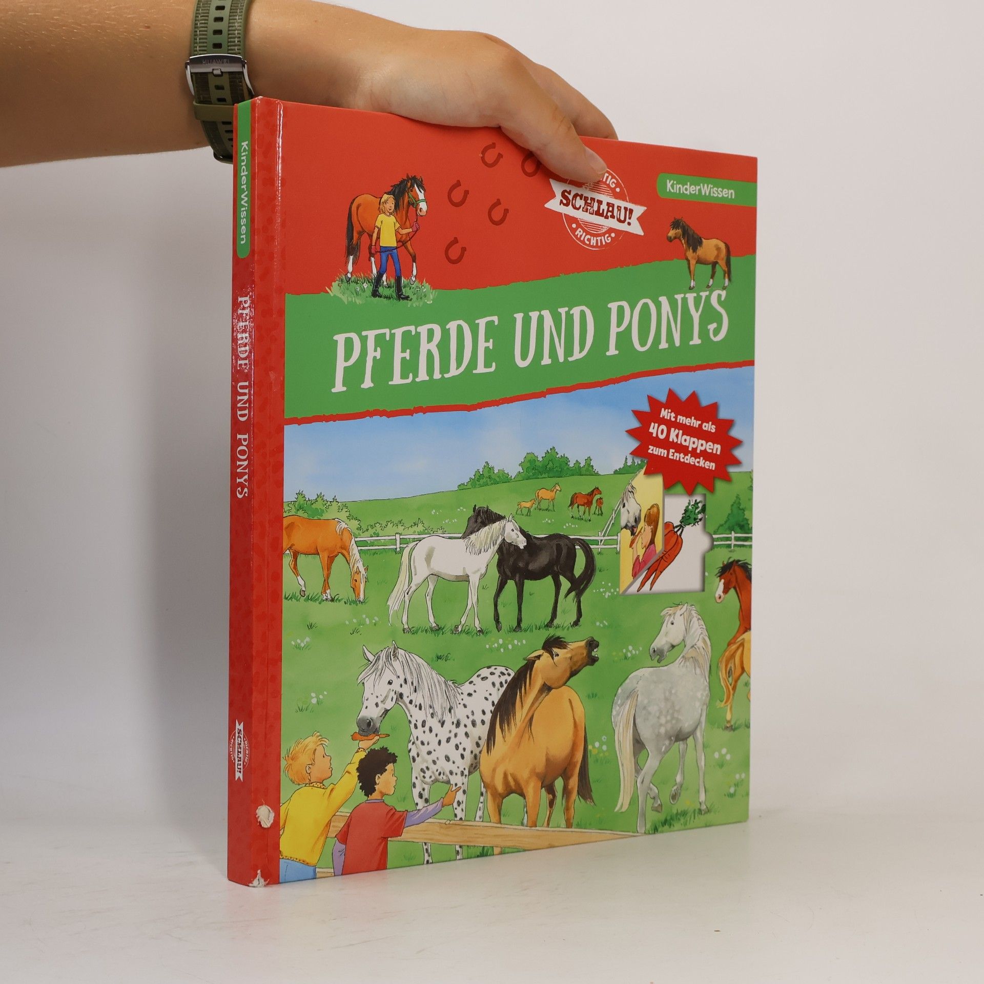 Astrid Vohwinkel Pferde und Ponys