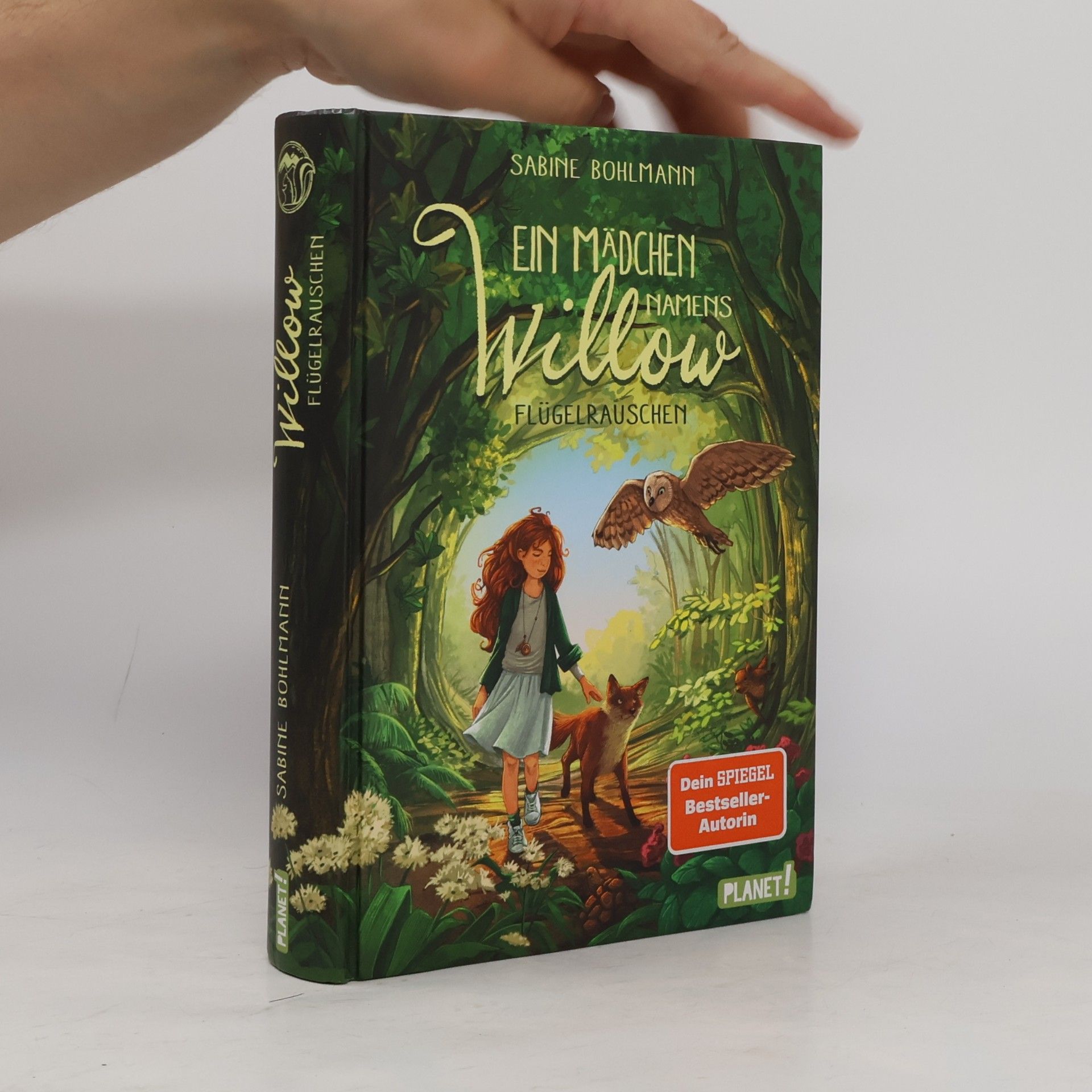 Sabine Bohlmann Ein Mädchen namens Willow - Flügelrauschen