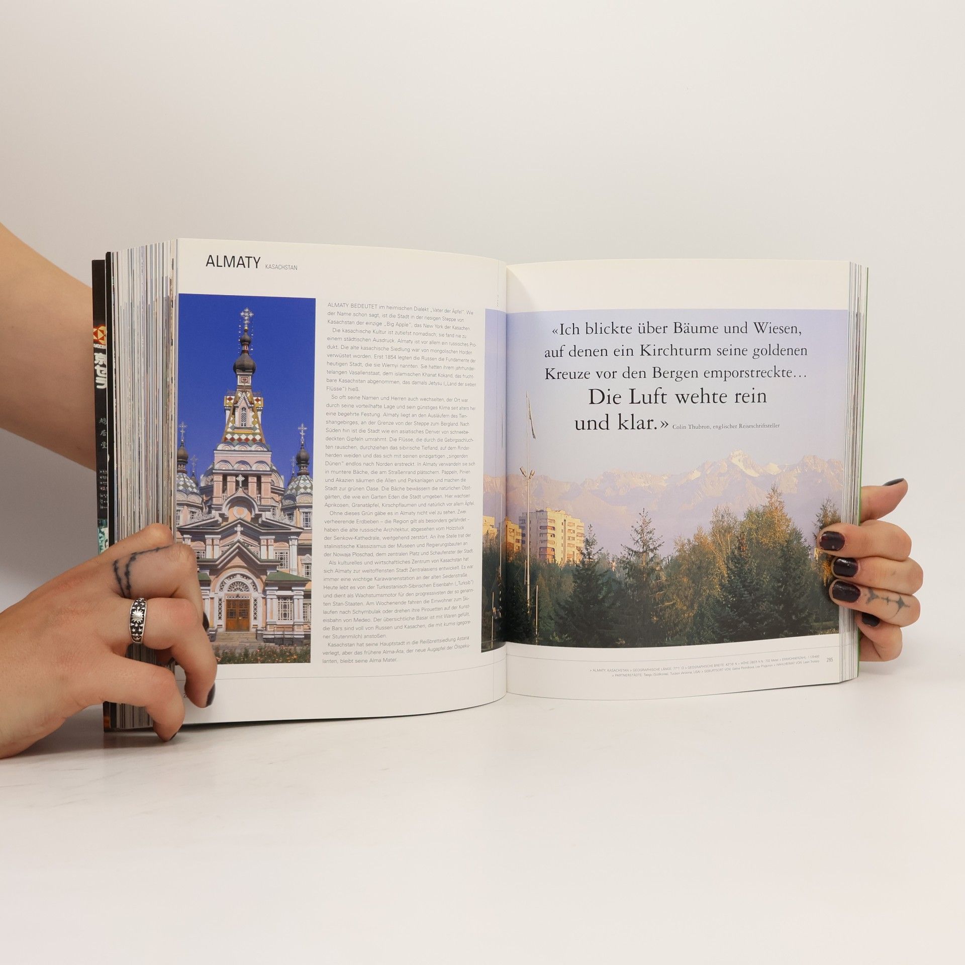 Philip Dodd The book of cities