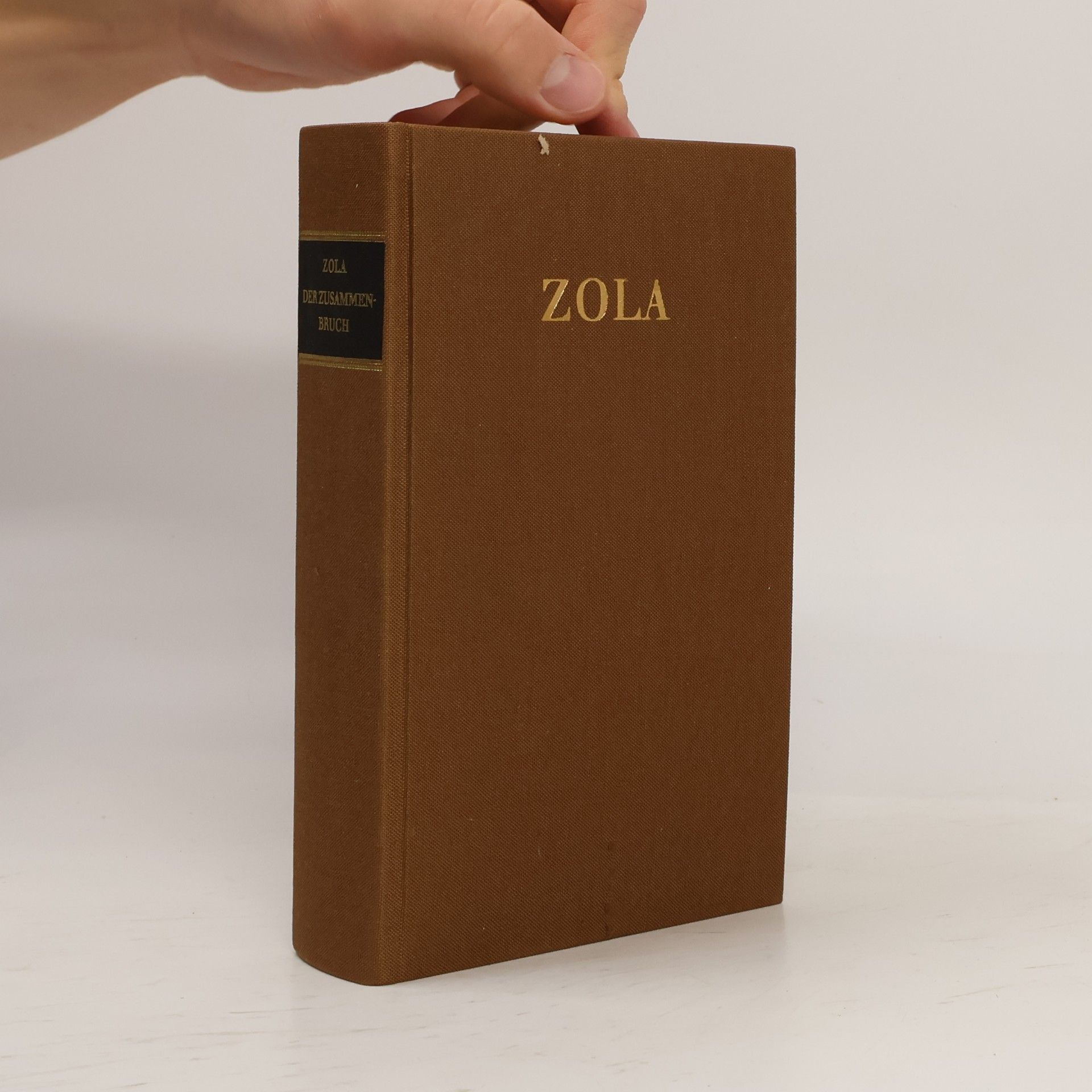 Émile Zola Der Zusammenbruch