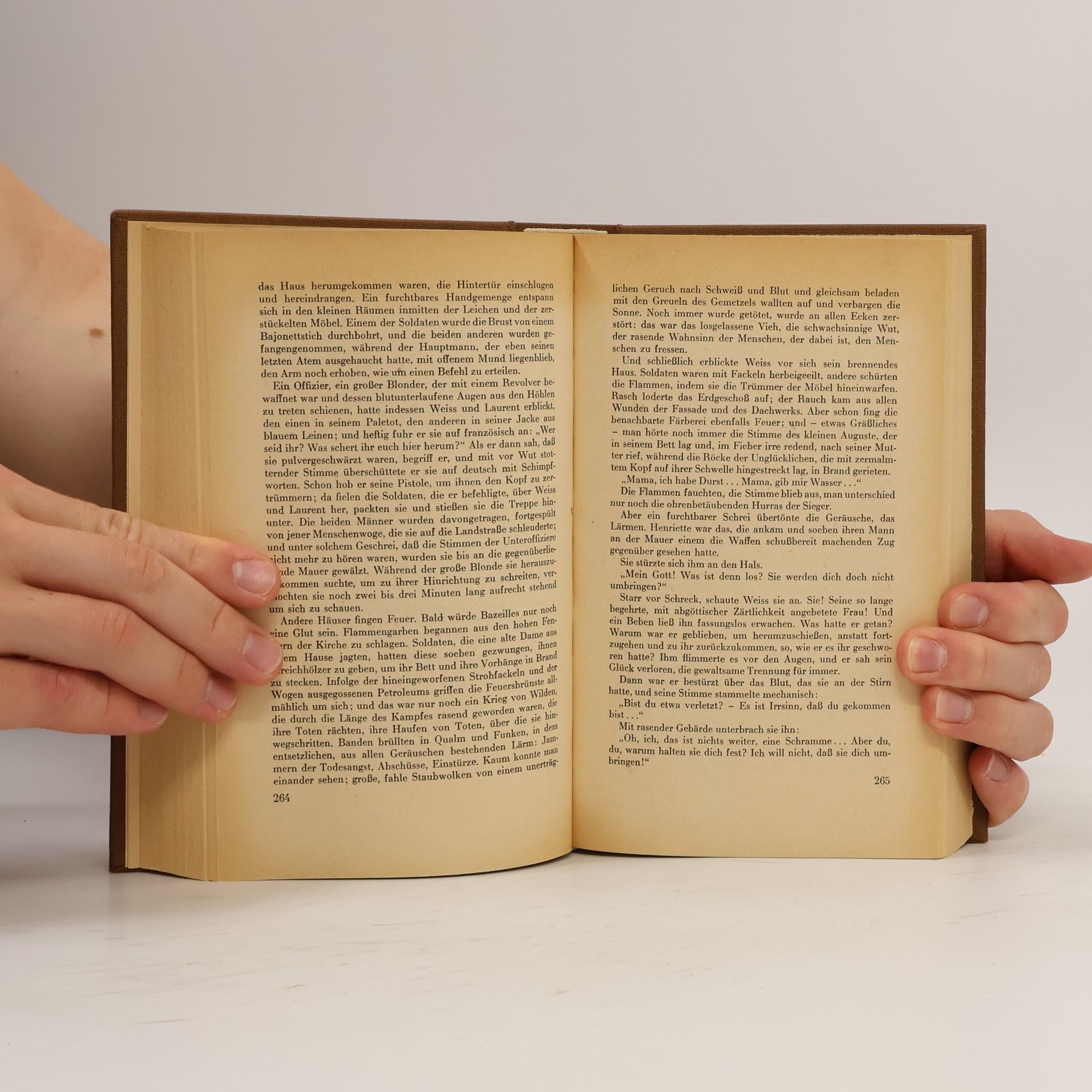 Émile Zola Der Zusammenbruch