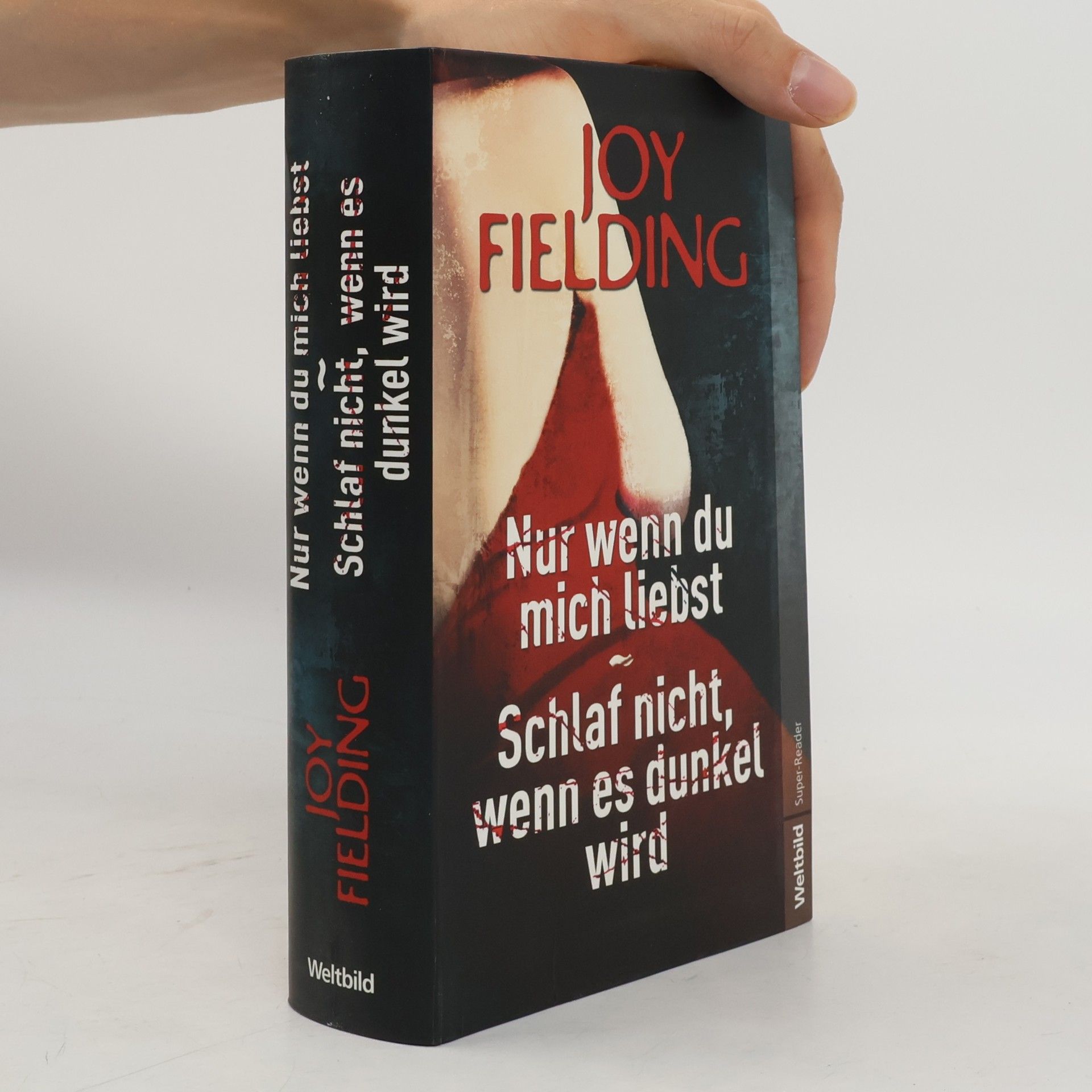 Joy Fielding Nur wenn du mich liebst