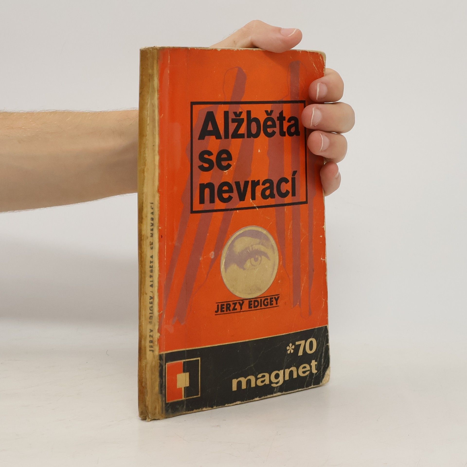 Jerzy Edigey Alžběta se nevrací