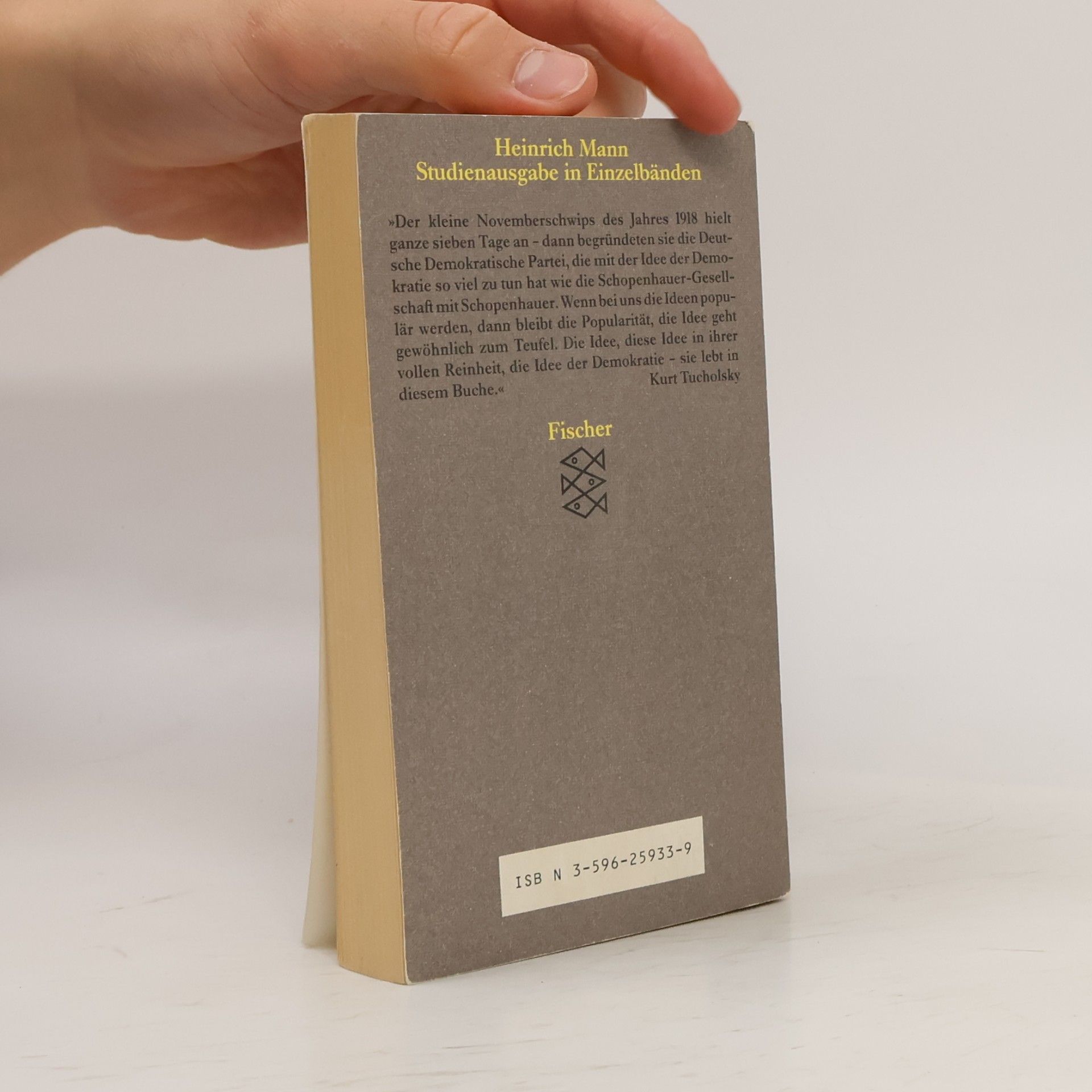 Heinrich Mann Macht und Mensch : Essays