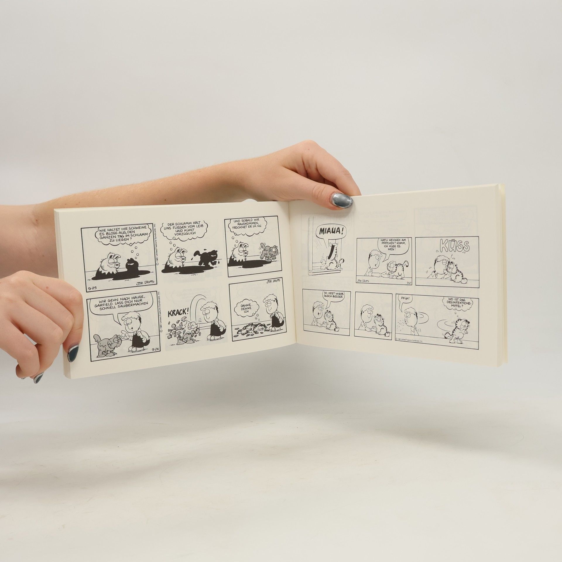 Jim Davis Garfield setzt an