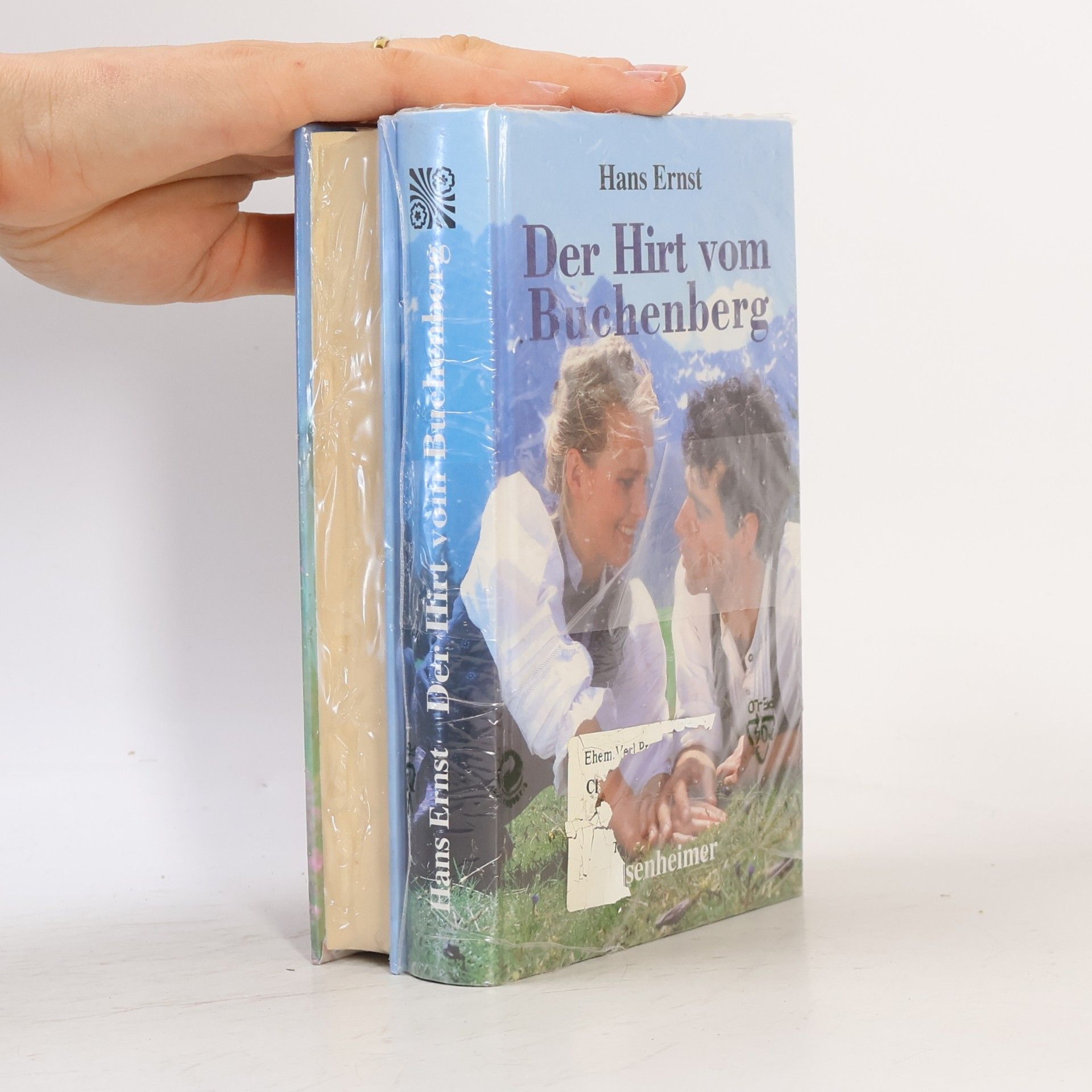 Ernst Gombrich Barbara Reintaler. Der Hirt vom Buchenberg