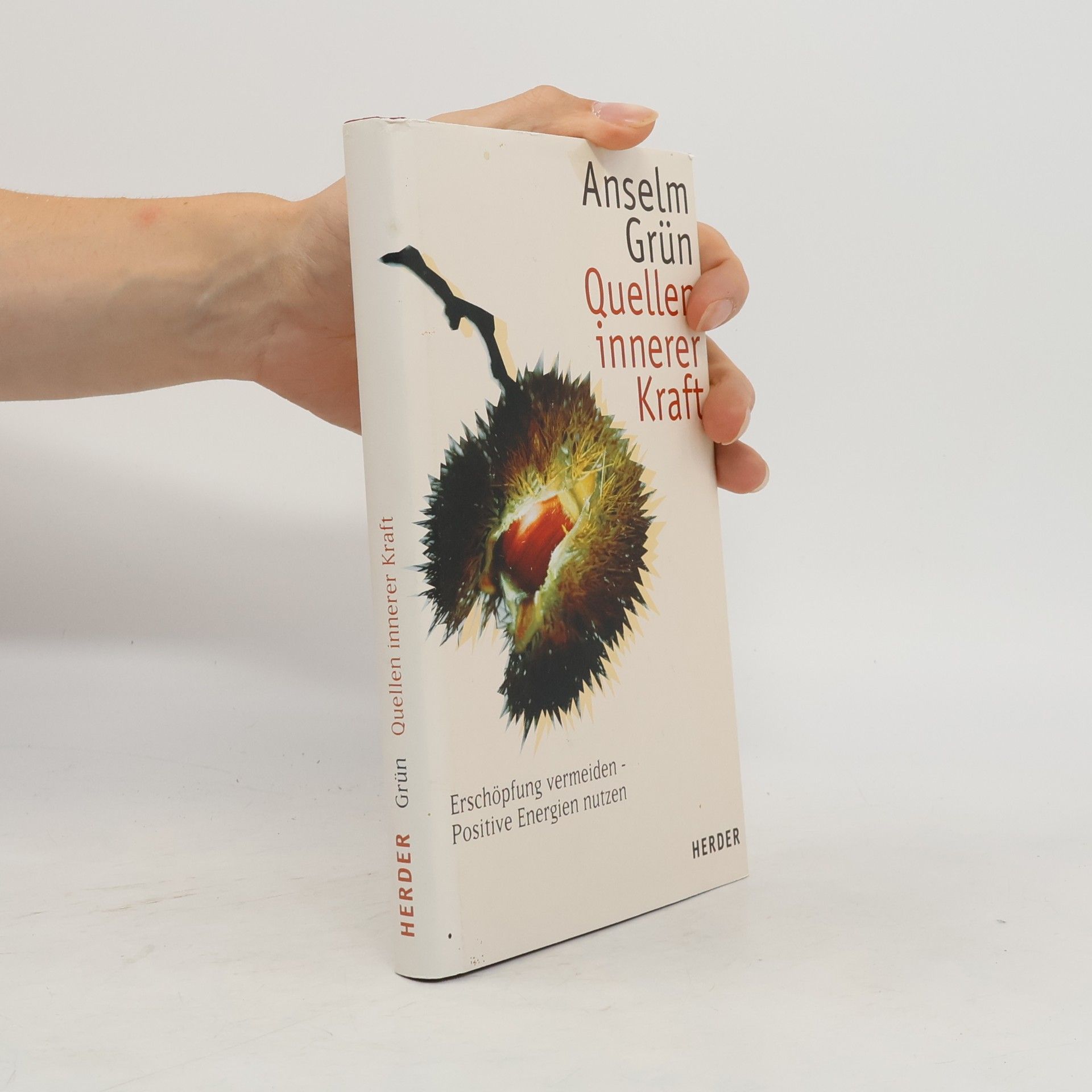 Anselm Grün Quellen innerer Kraft