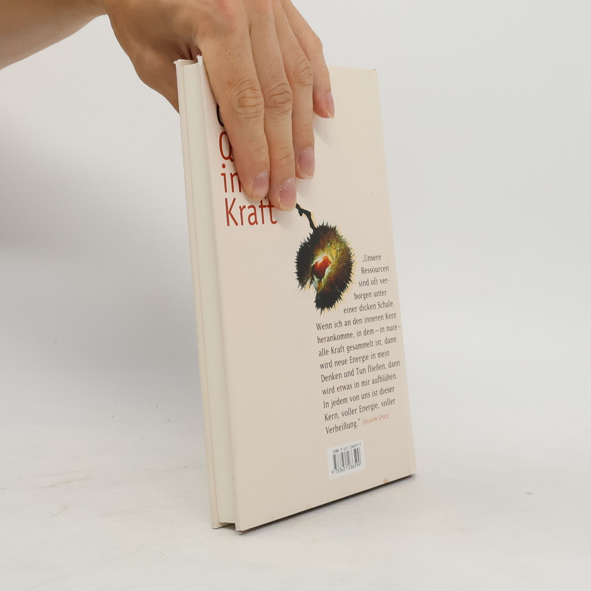 Anselm Grün Quellen innerer Kraft