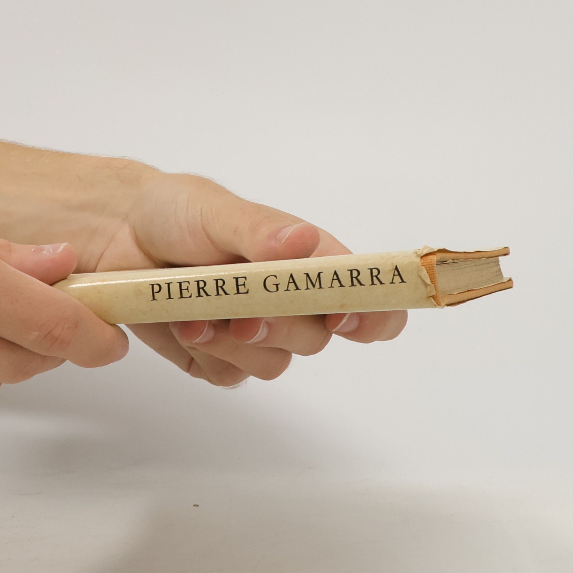 Pierre Gamarra Dvanáct tun diamantu