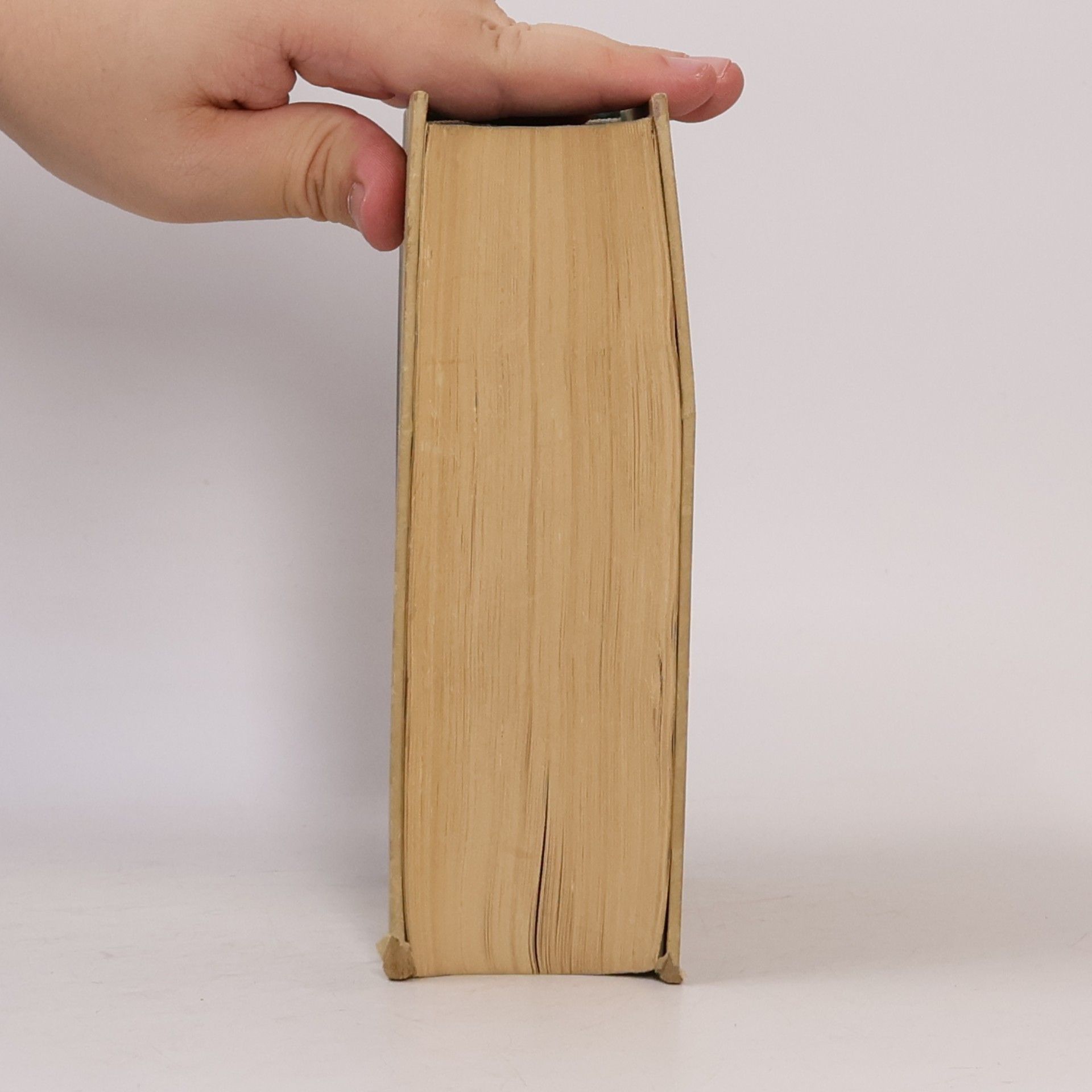 kolektiv Der Briefwechsel zwischen Schiller und Goethe 1