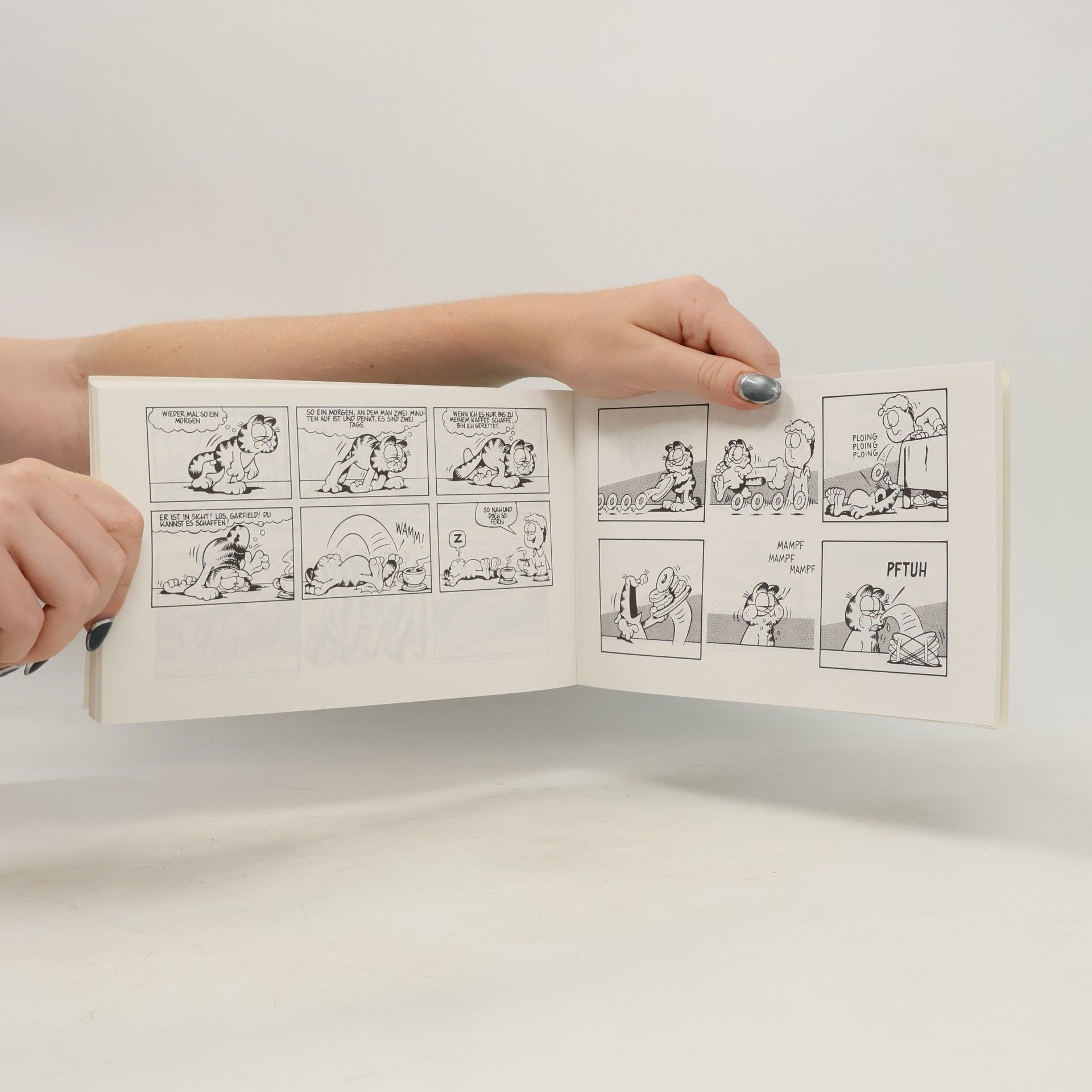 Jim Davis Garfield 15