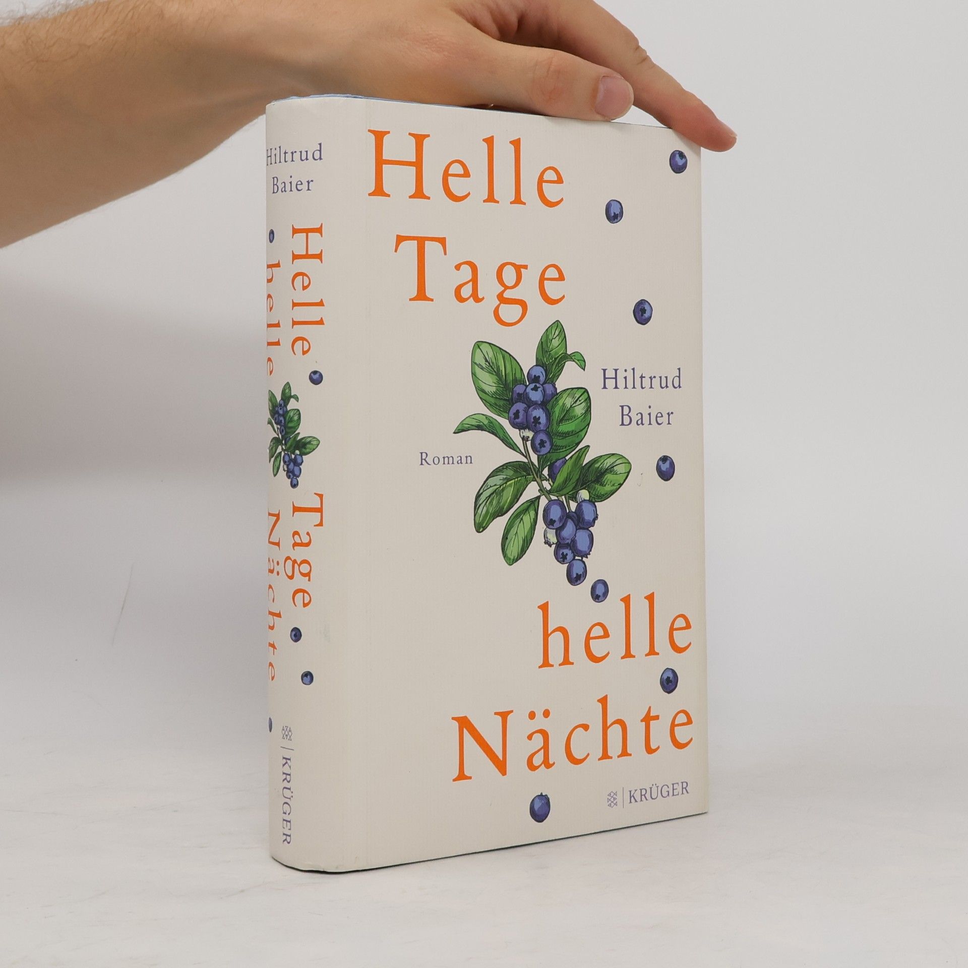 Hiltrud Baier Helle Tage, helle Nächte