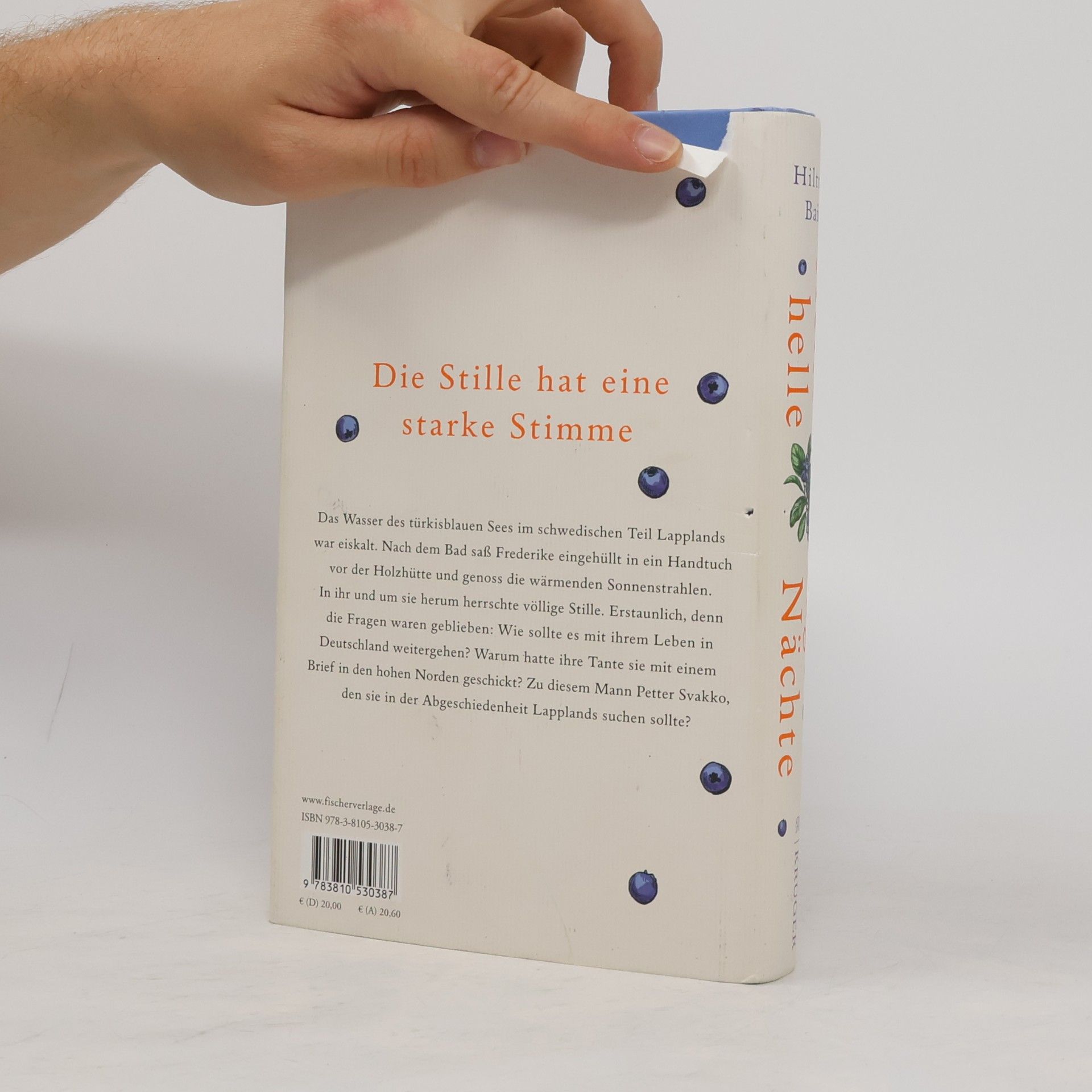 Hiltrud Baier Helle Tage, helle Nächte