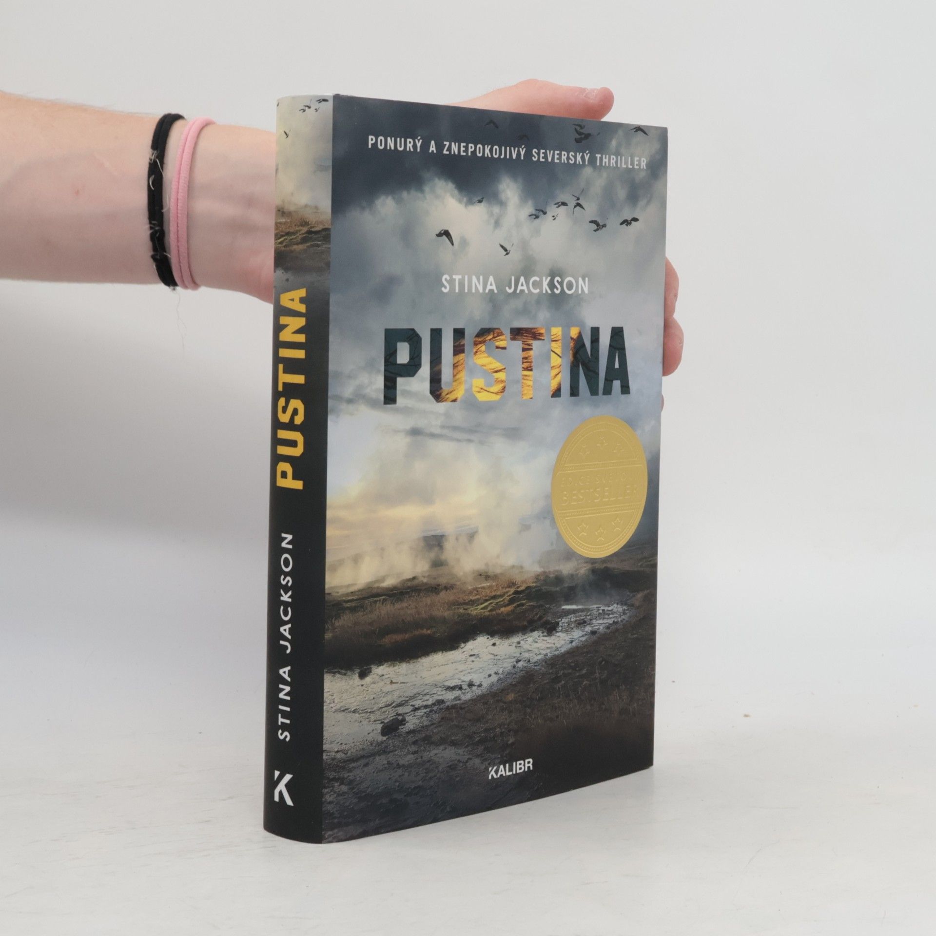 Stina Jackson Pustina